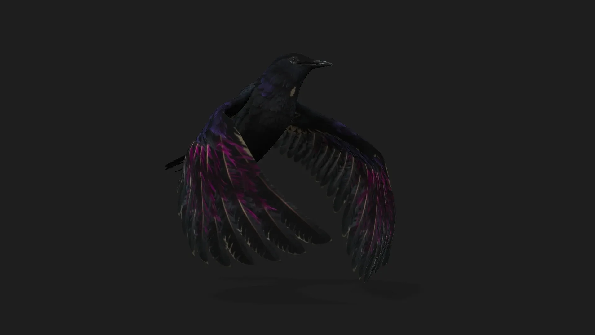 Raven_A3