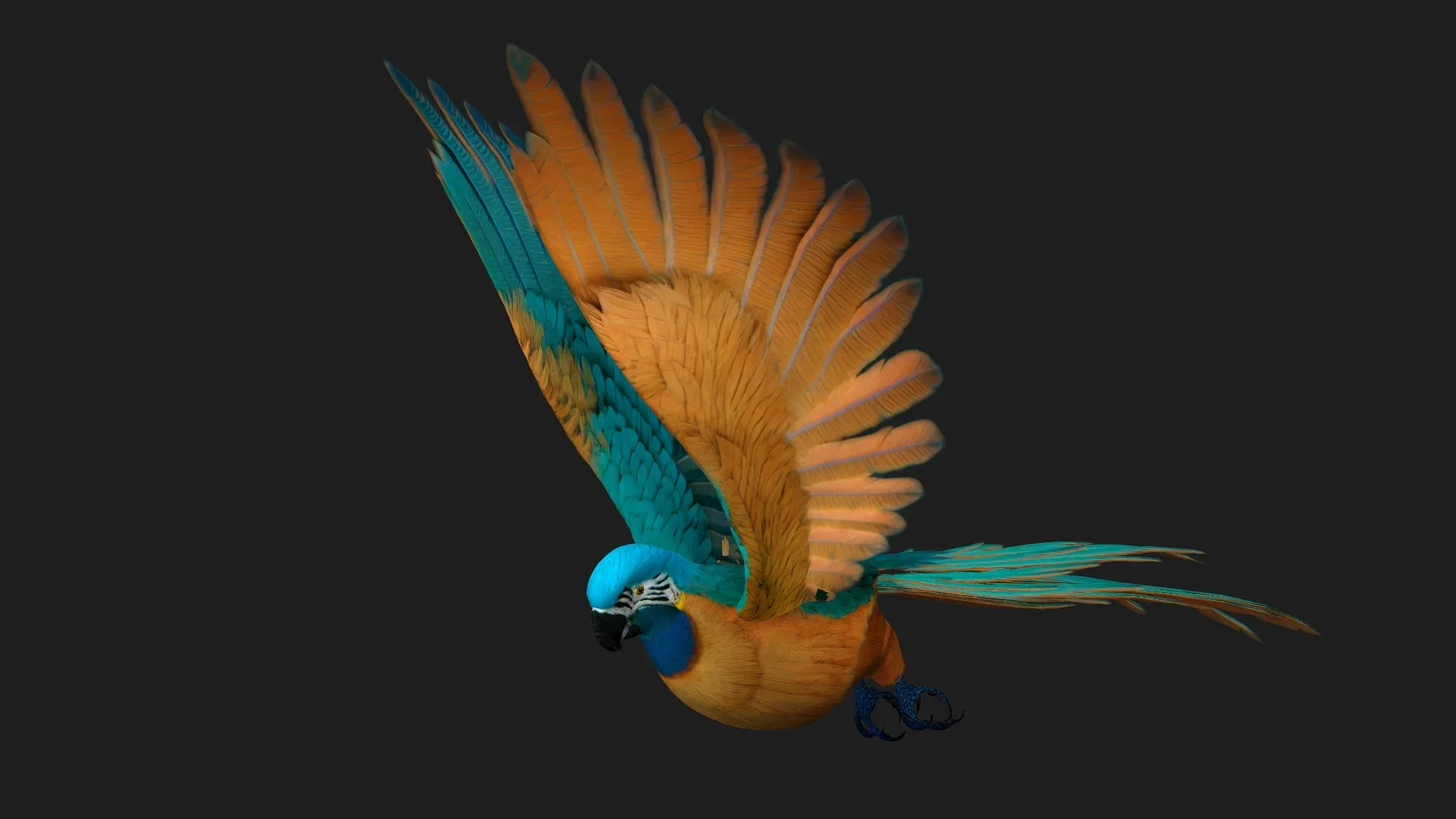 Parrot_A1