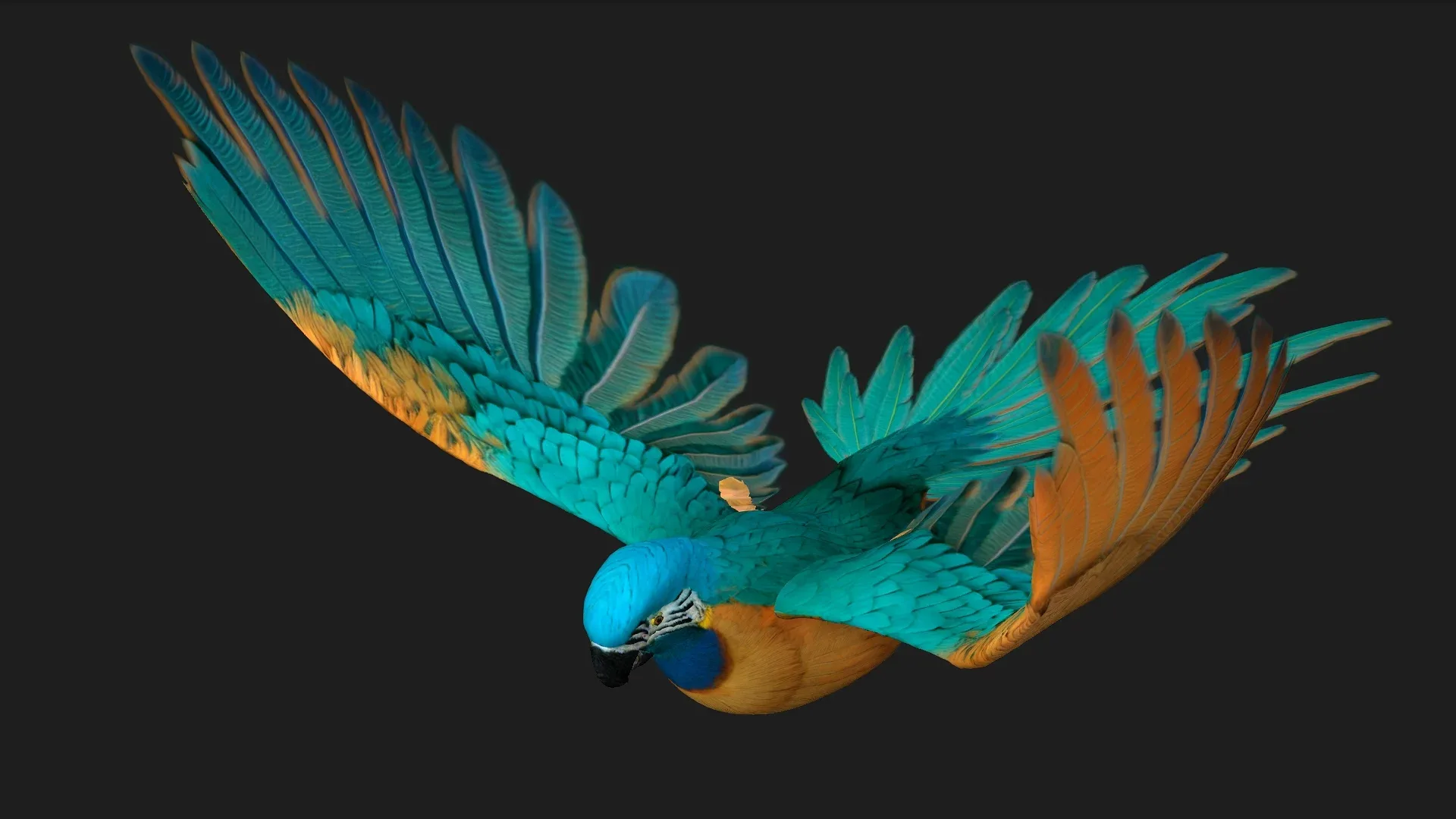 Parrot_A1