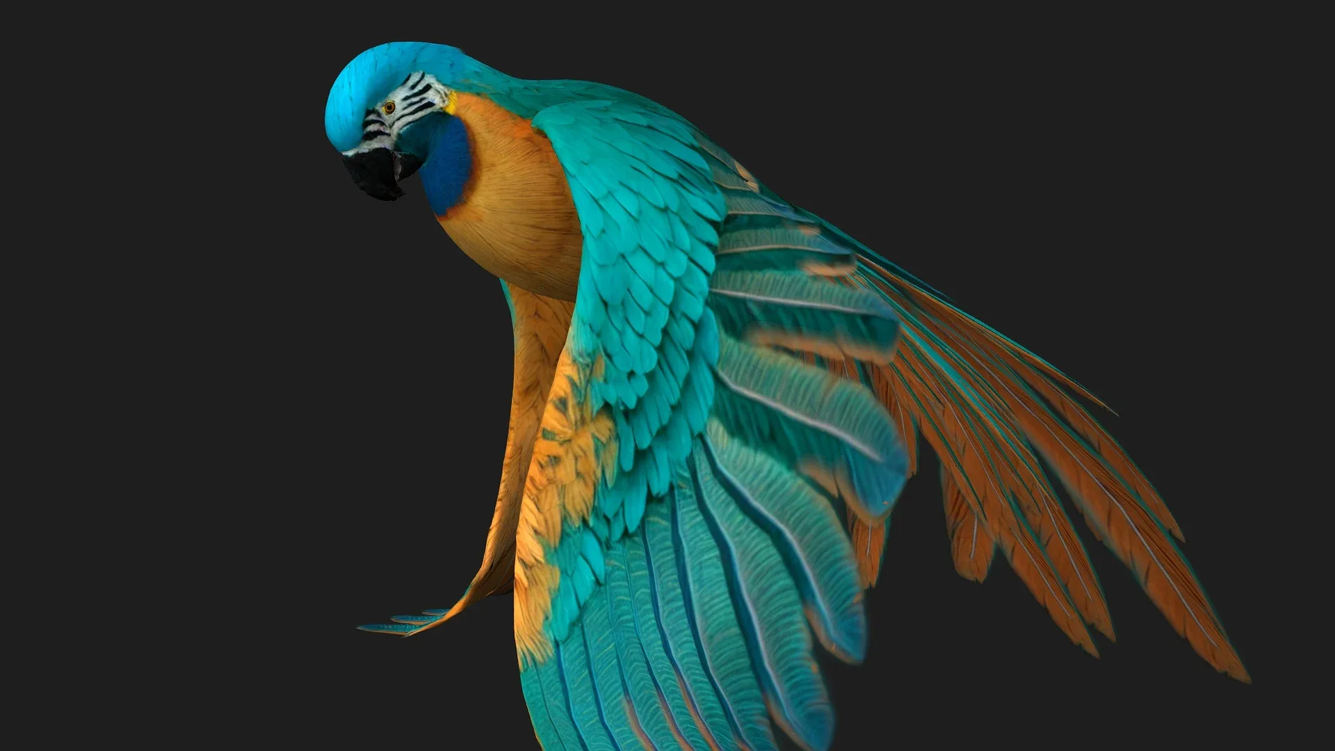 Parrot_A1