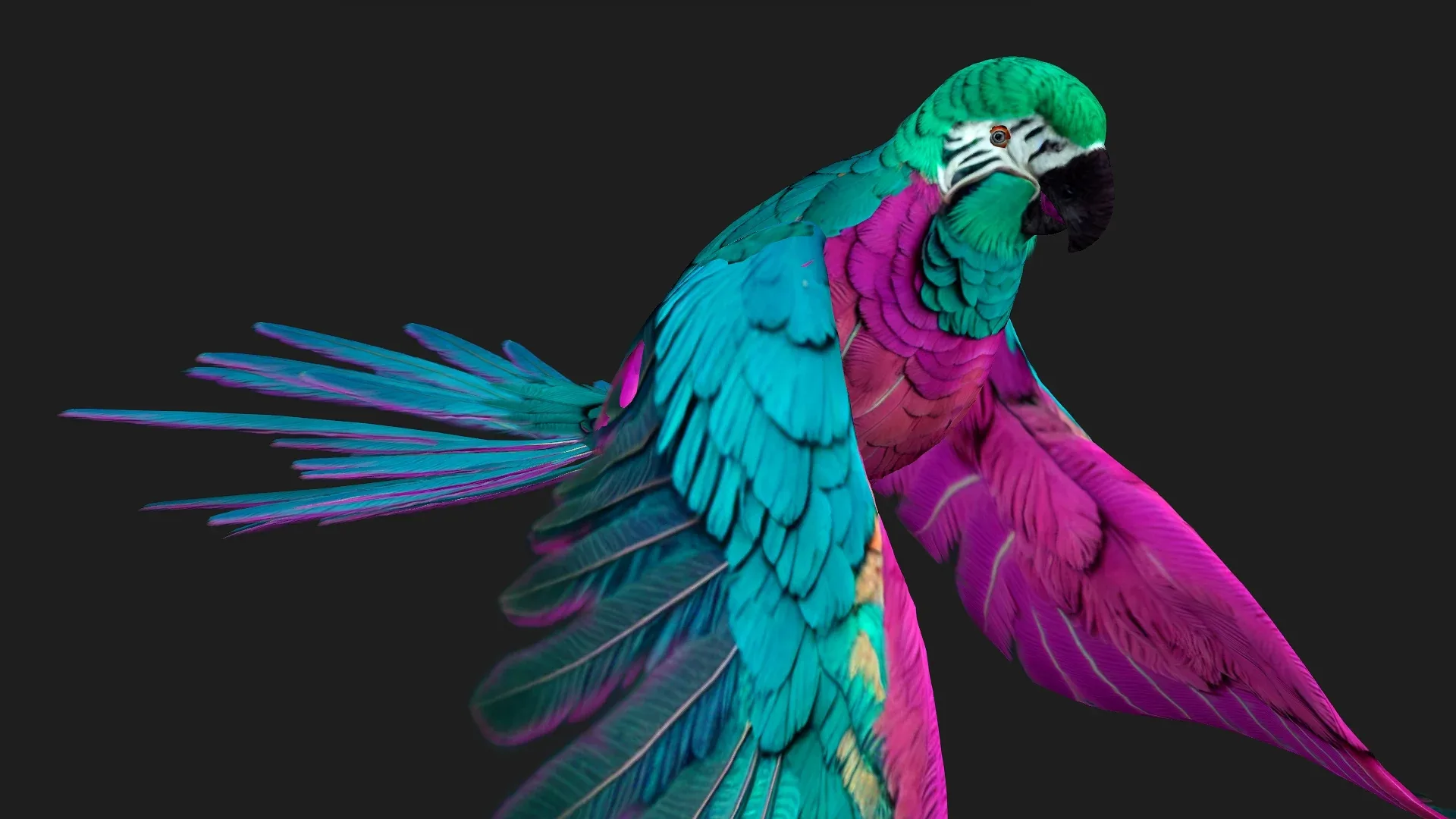 Parrot_A3