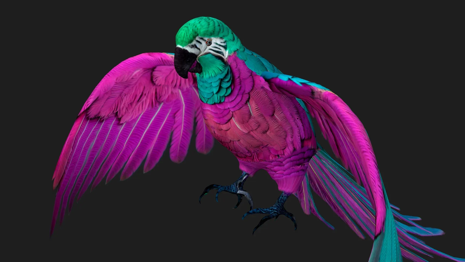 Parrot_A3