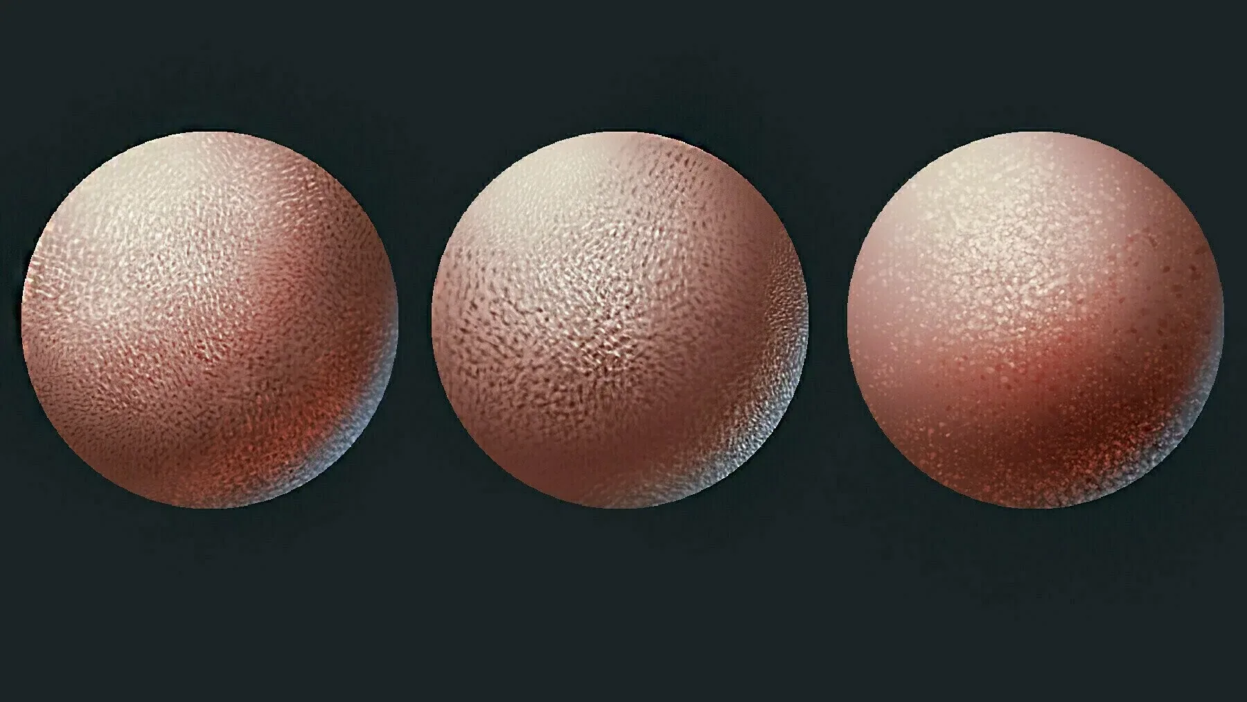 Skin Brushes for Photoshop and Procreate