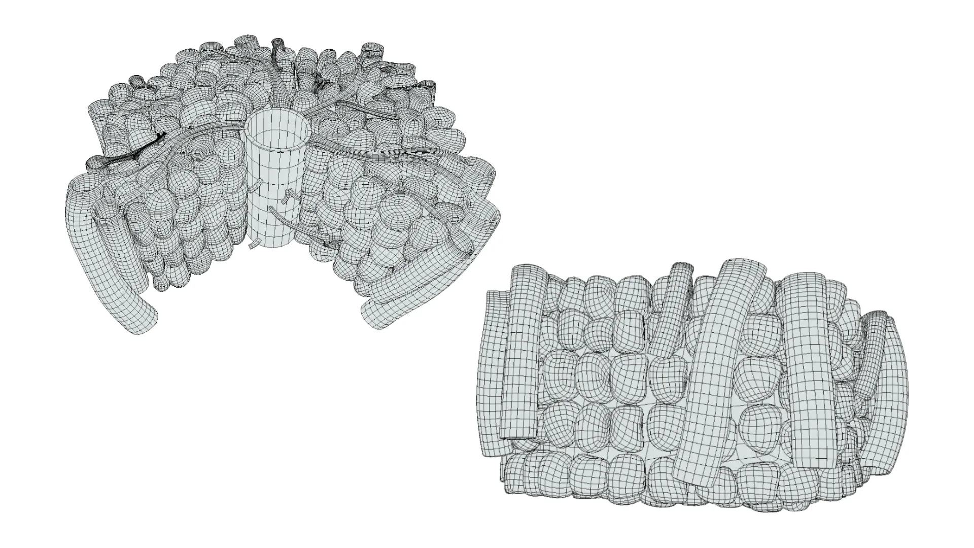 Hepatic Lobule Anatomy