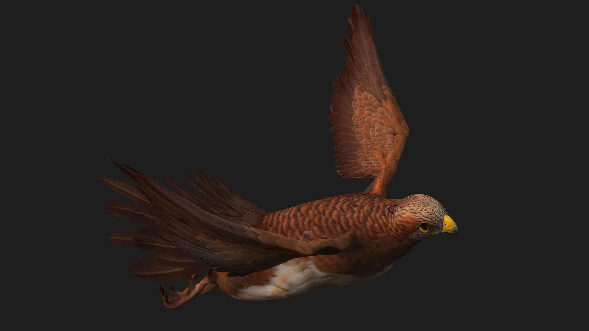 Kestrel_B1