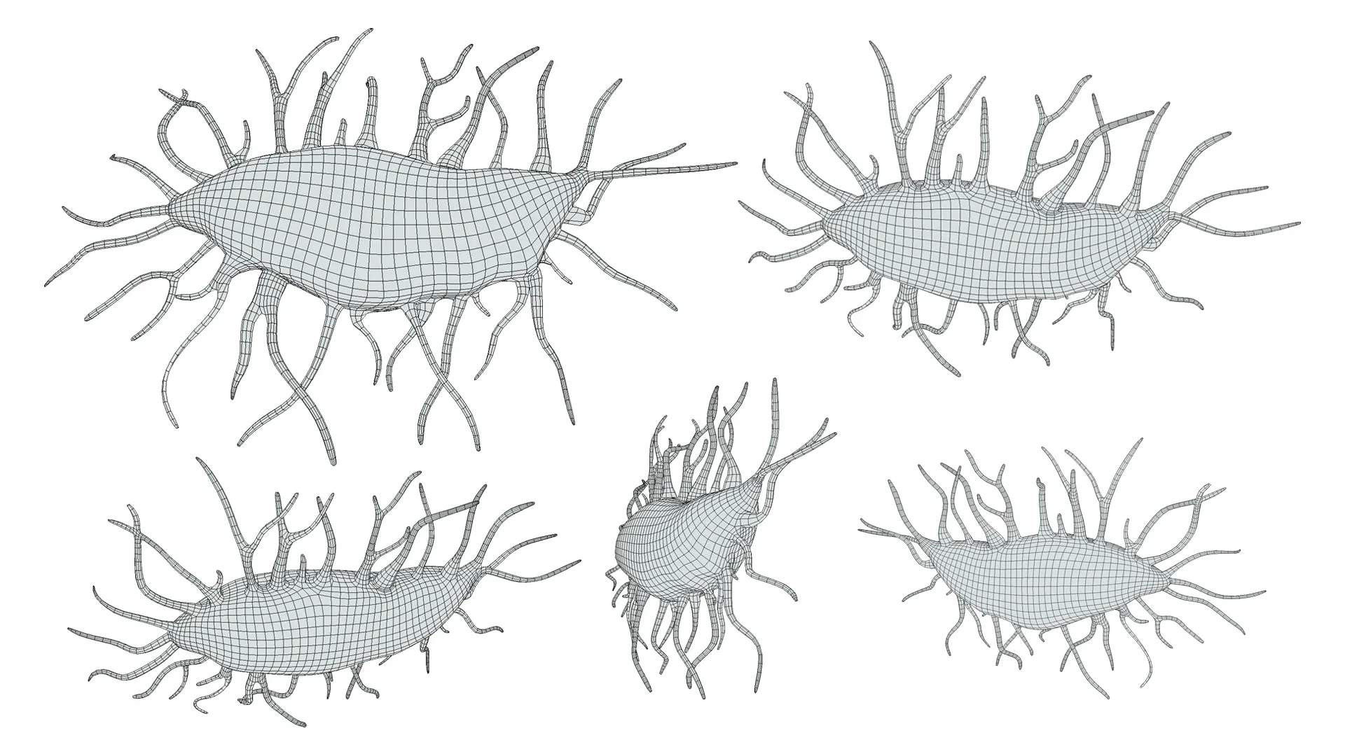 Osteocyte Bone Cell