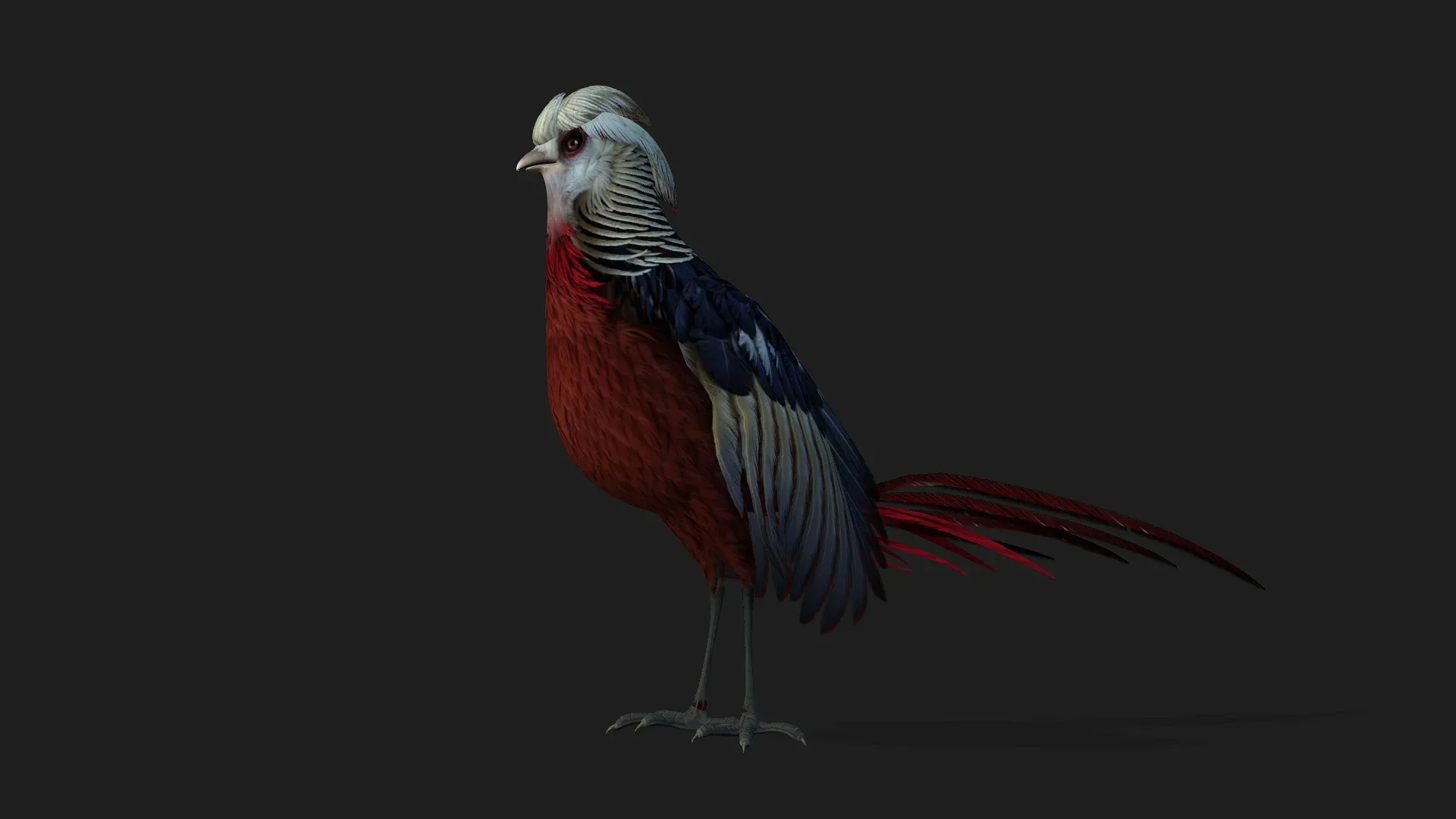 Pheasant_A2