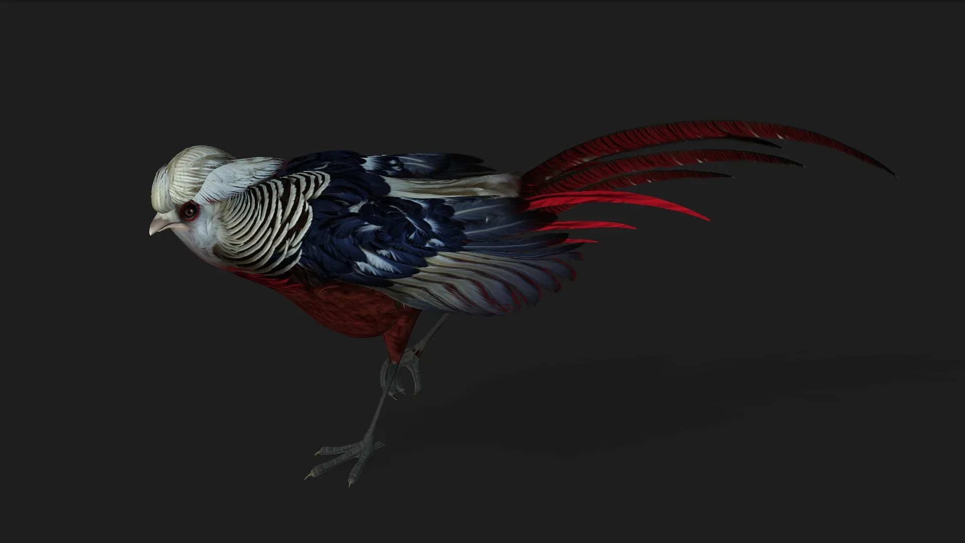 Pheasant_A2