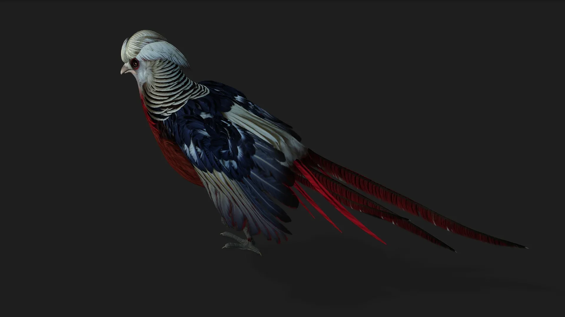 Pheasant_A2