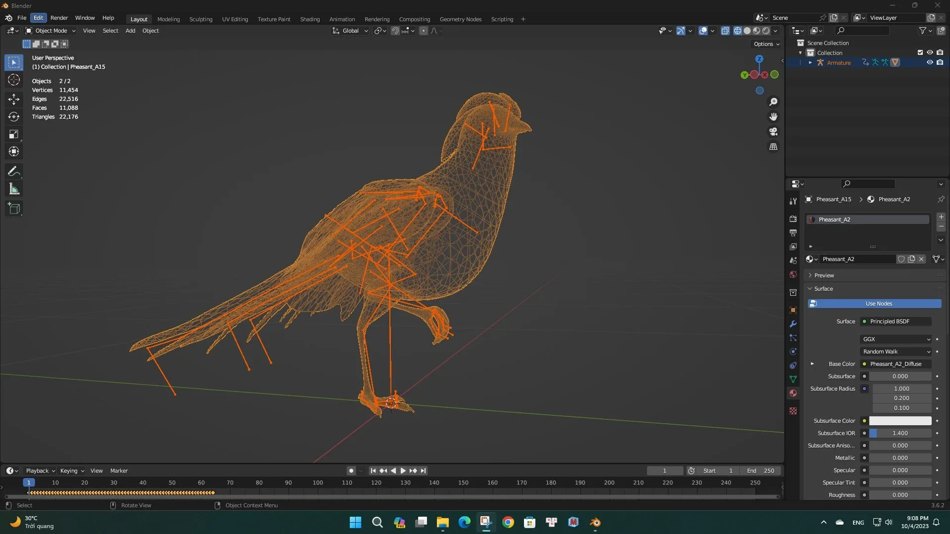 Pheasant_A2