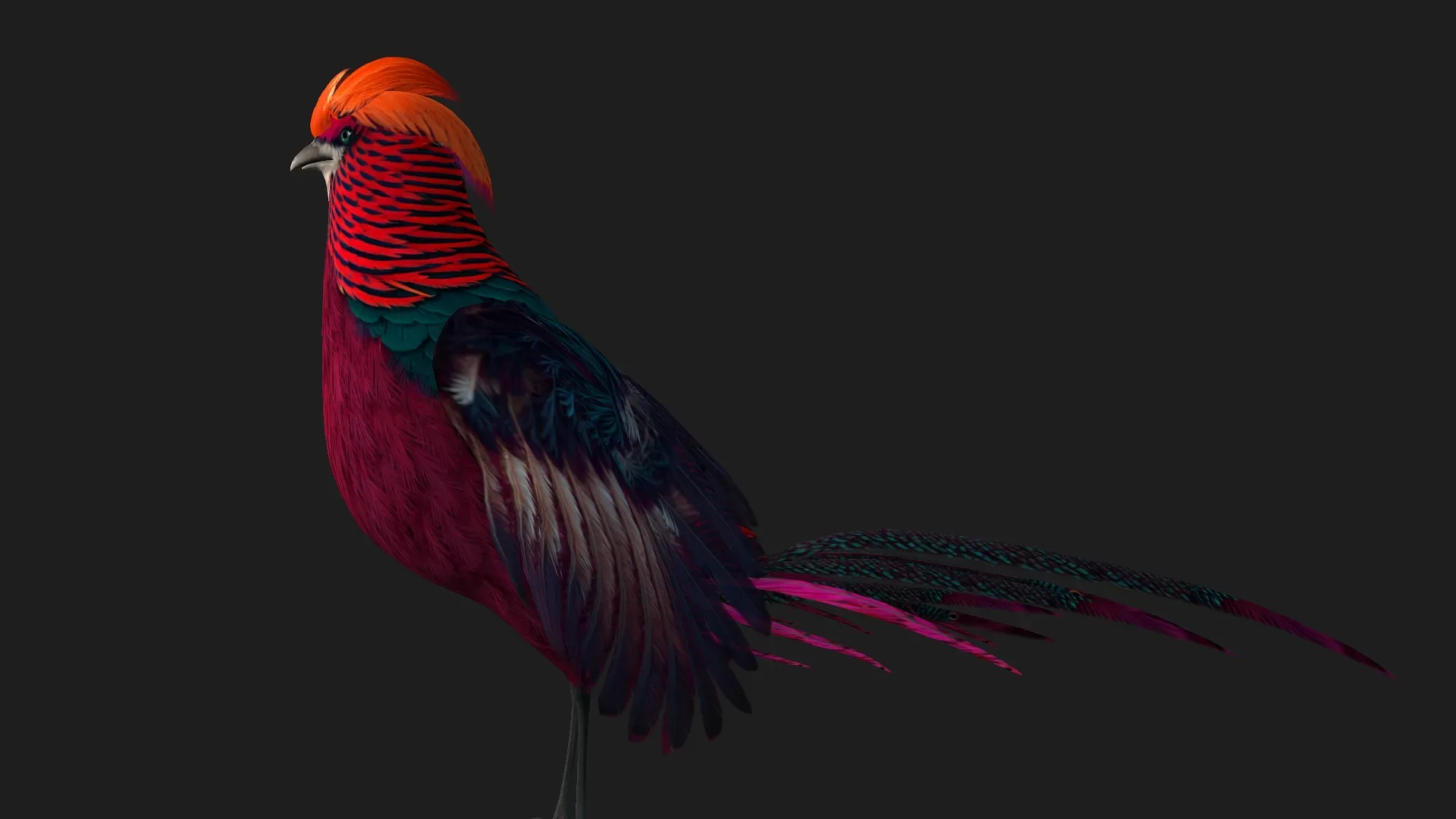 Pheasant_A3