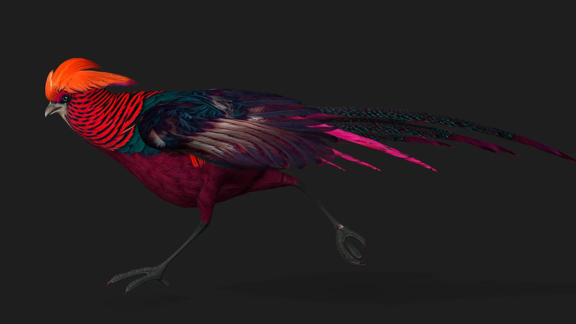 Pheasant_A3