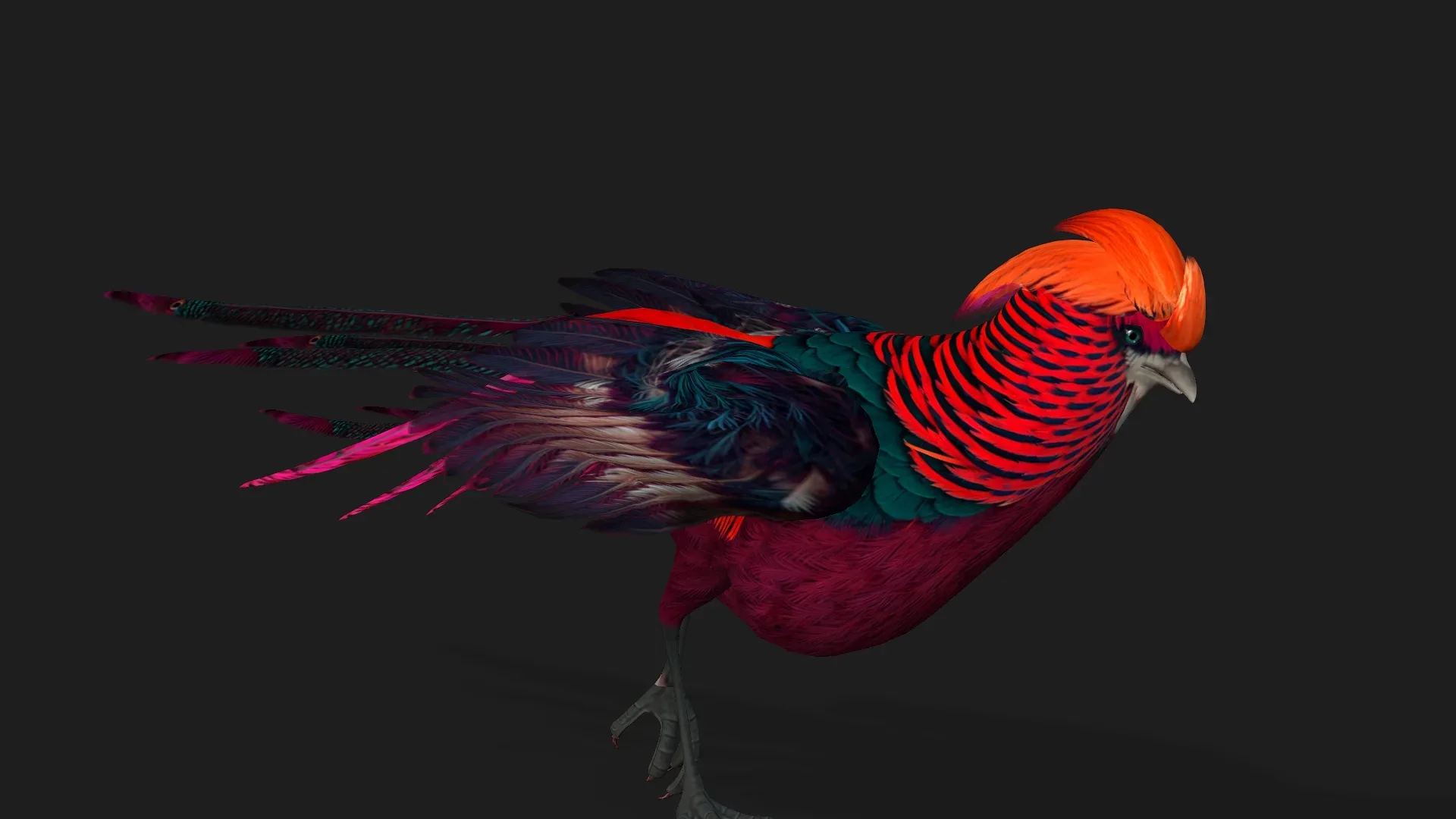 Pheasant_A3