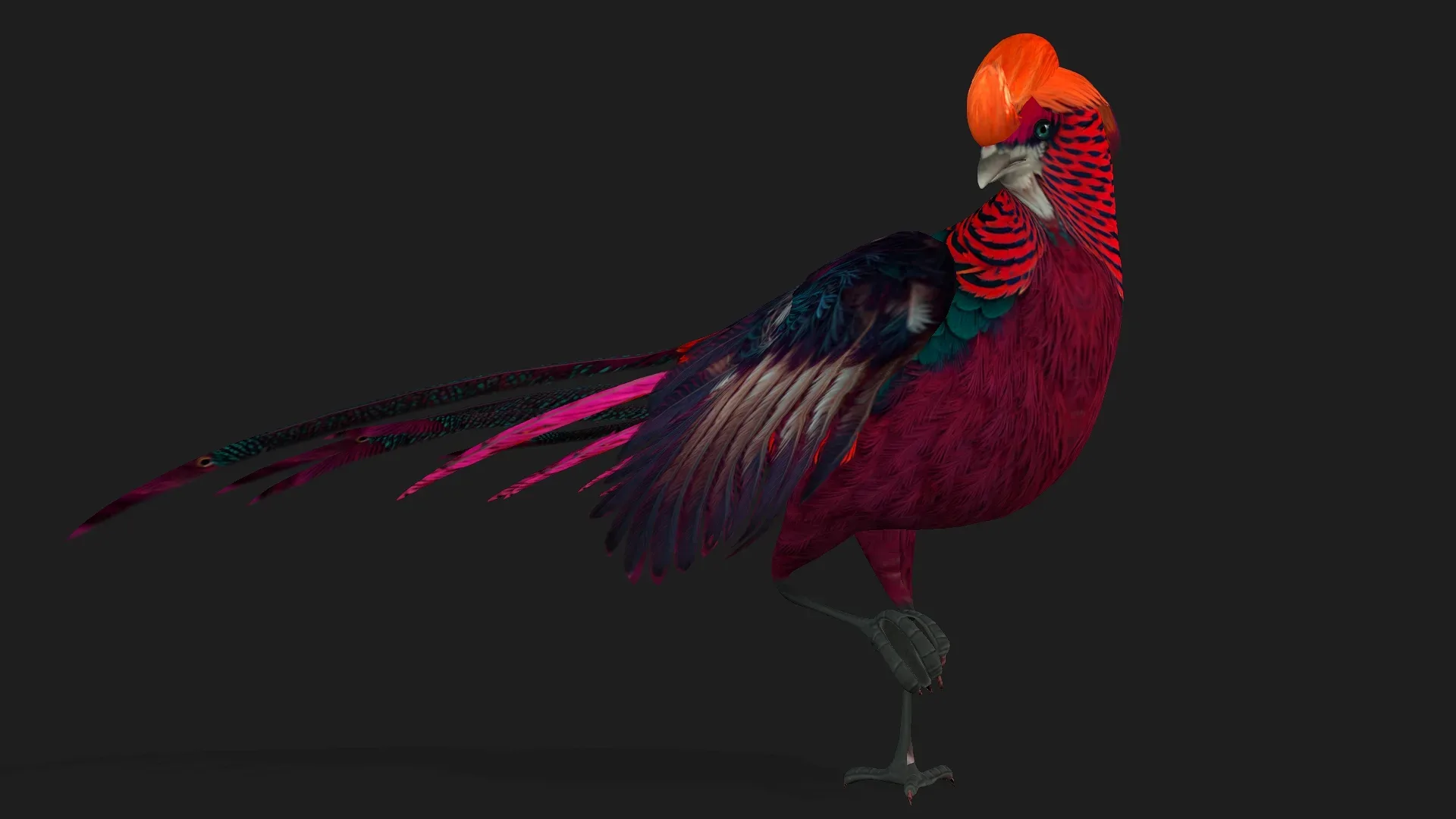 Pheasant_A3