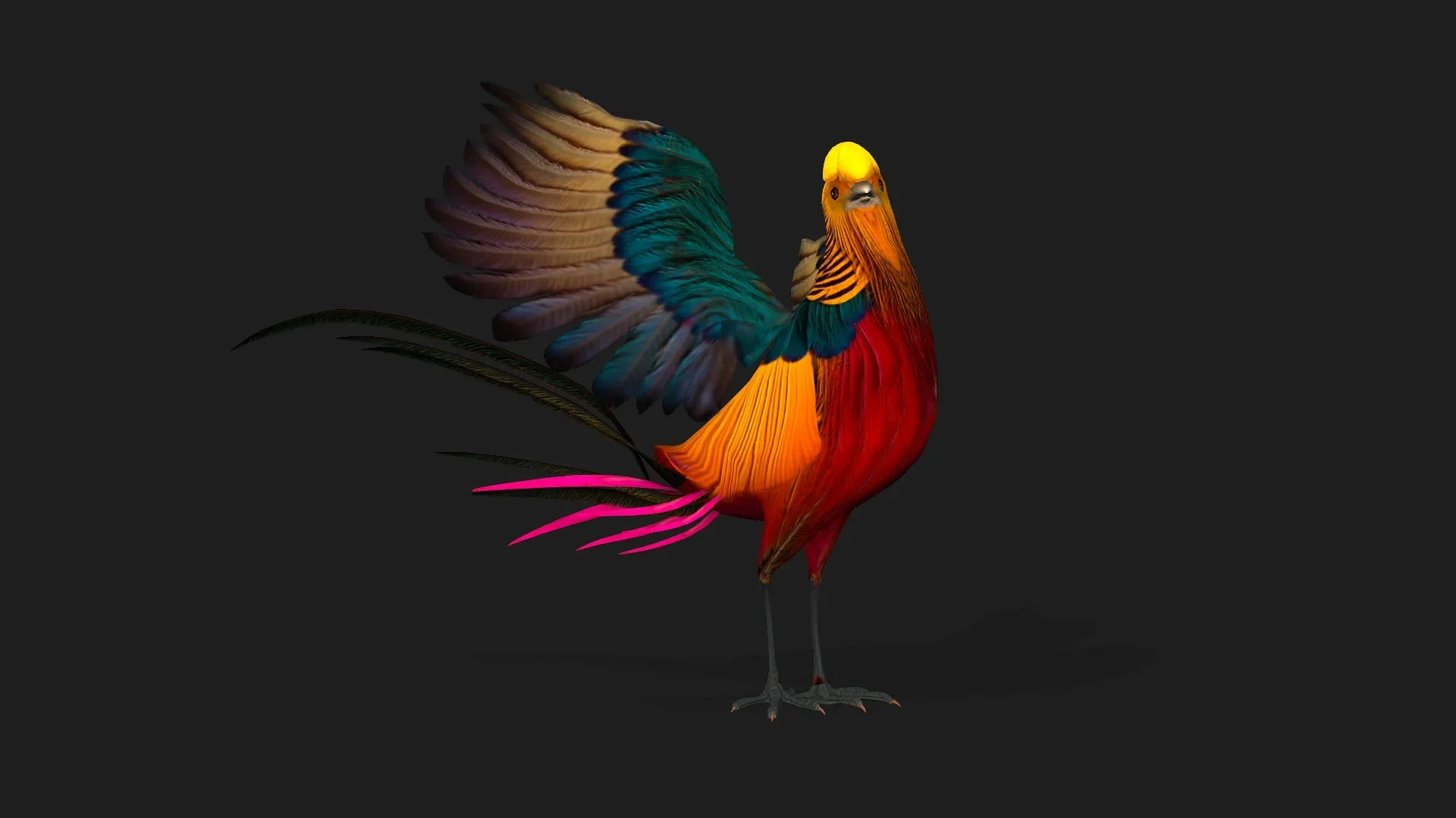 Pheasant_A4