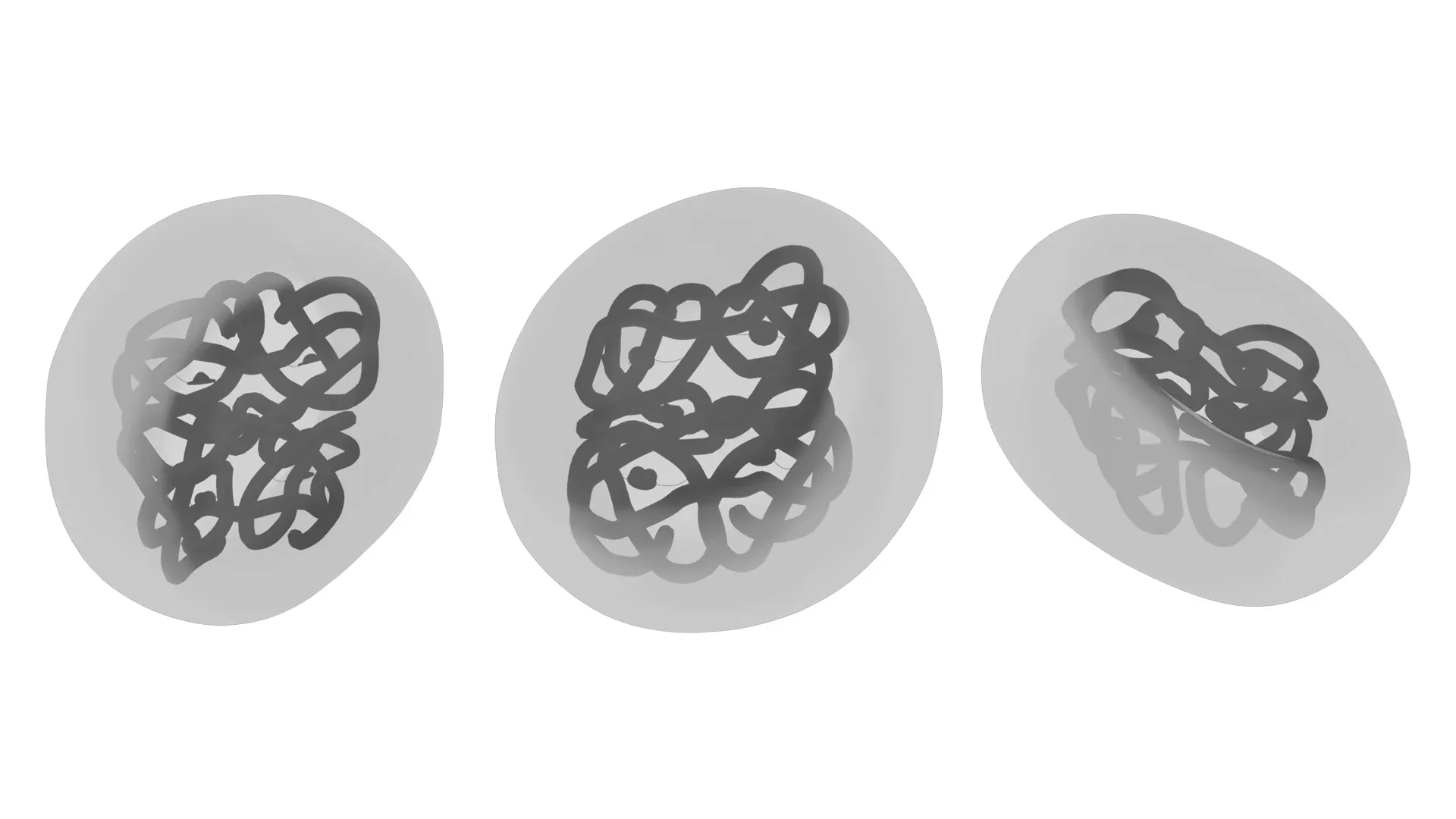 The Structure of Hemoglobin