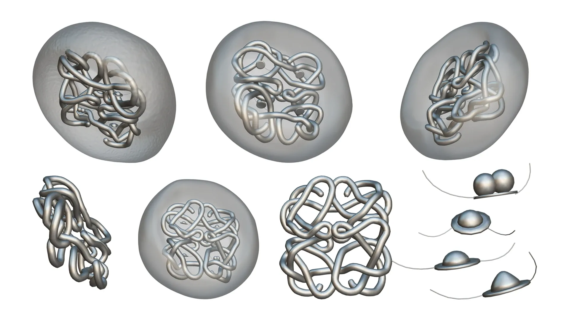 The Structure of Hemoglobin