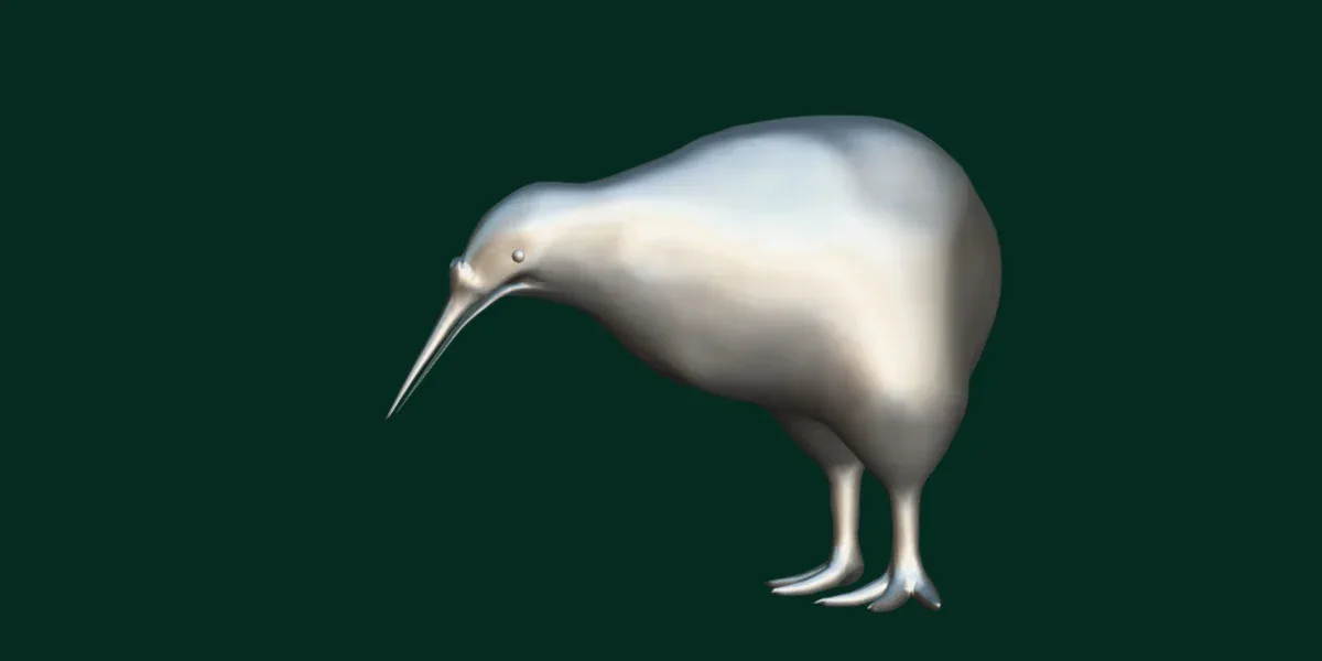 Kiwi Flightless Bird Animal