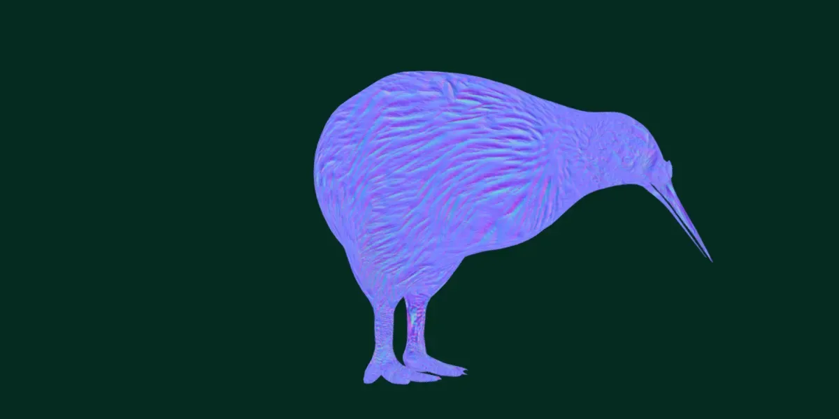 Kiwi Flightless Bird Animal