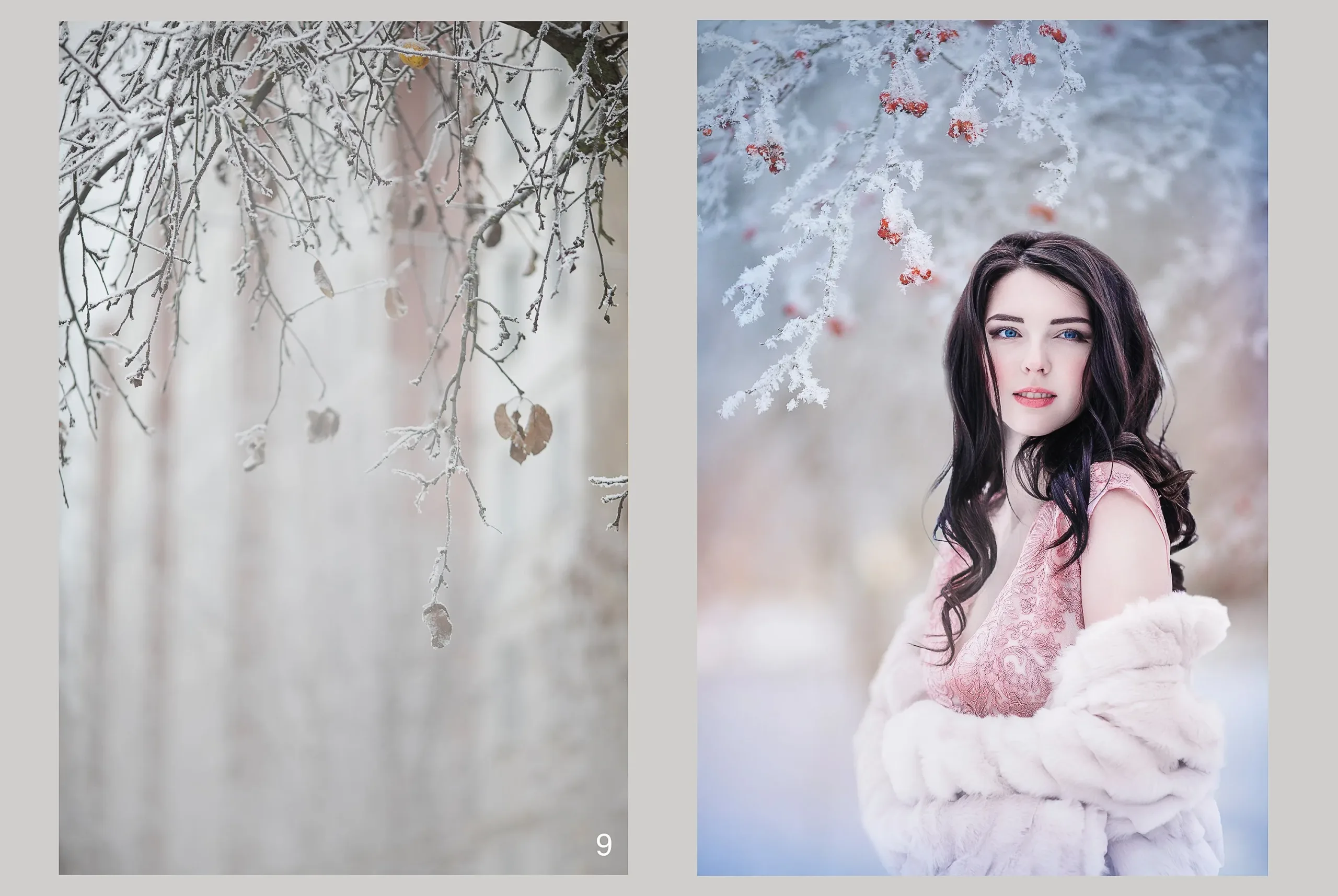 Winter Portrait Backgrounds