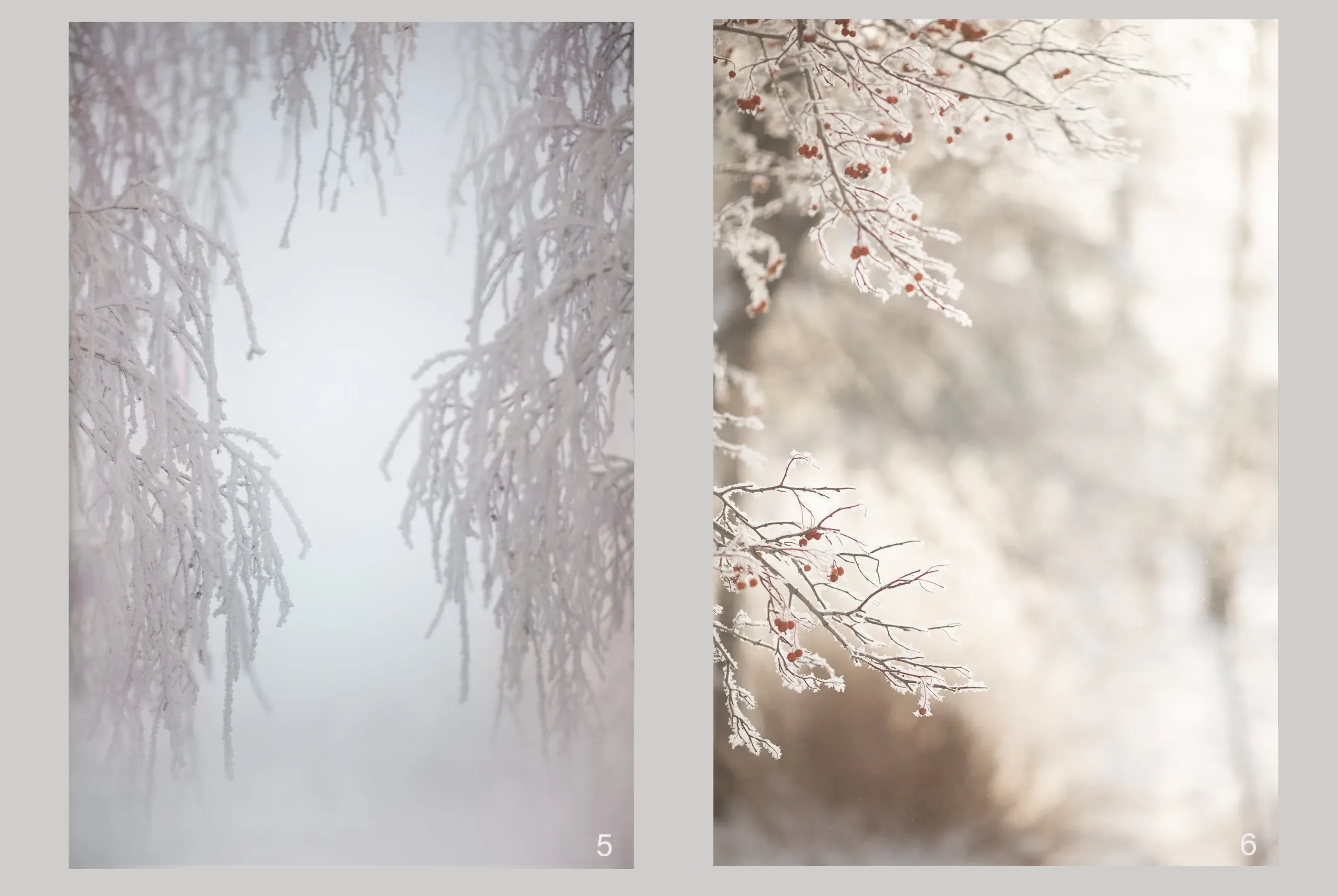 Winter Portrait Backgrounds - FlippedNormals
