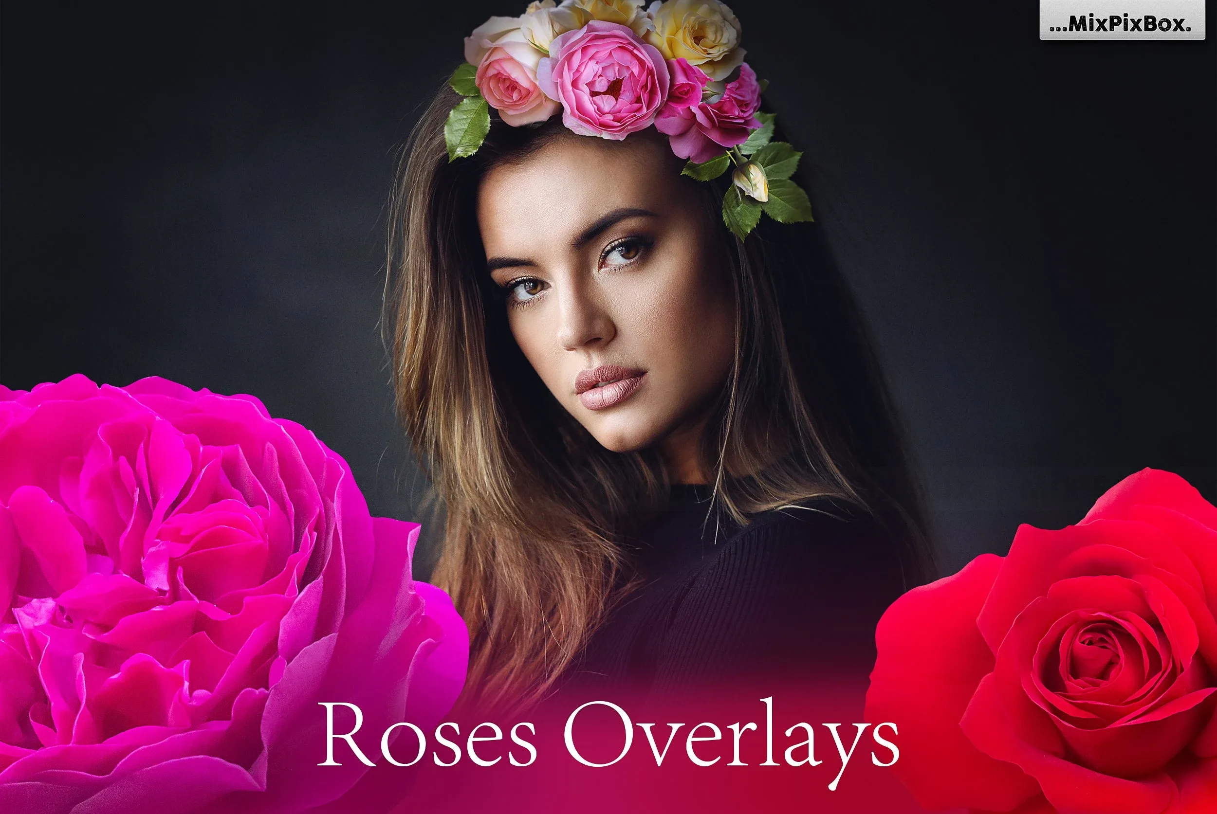 Roses Photo Overlays