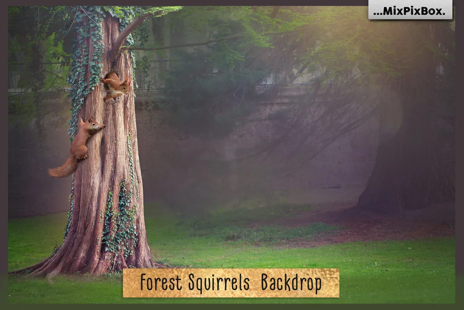 Forest Squirrels Backdrop