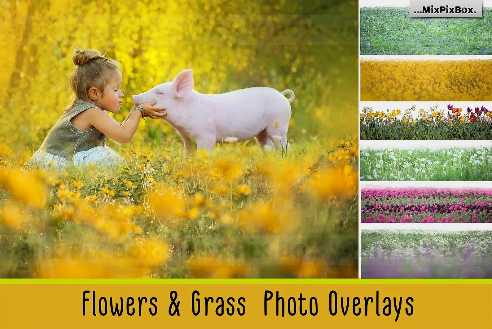 Flowers and Grass Overlays