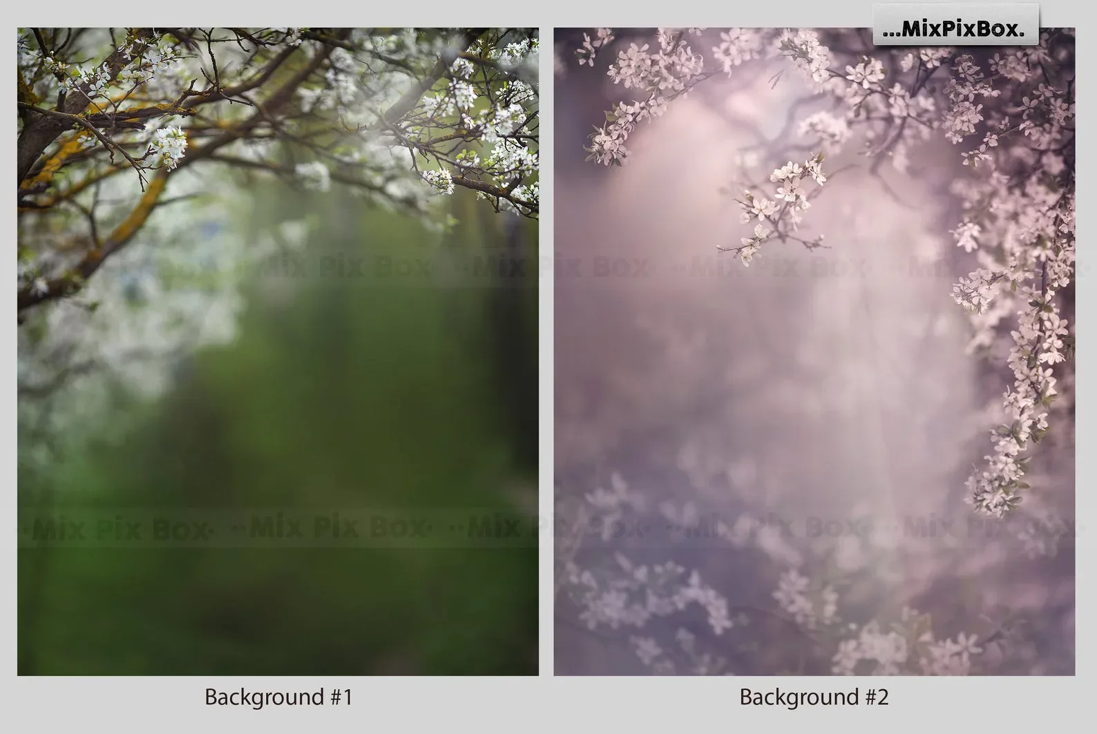 Spring Portrait Backgrounds