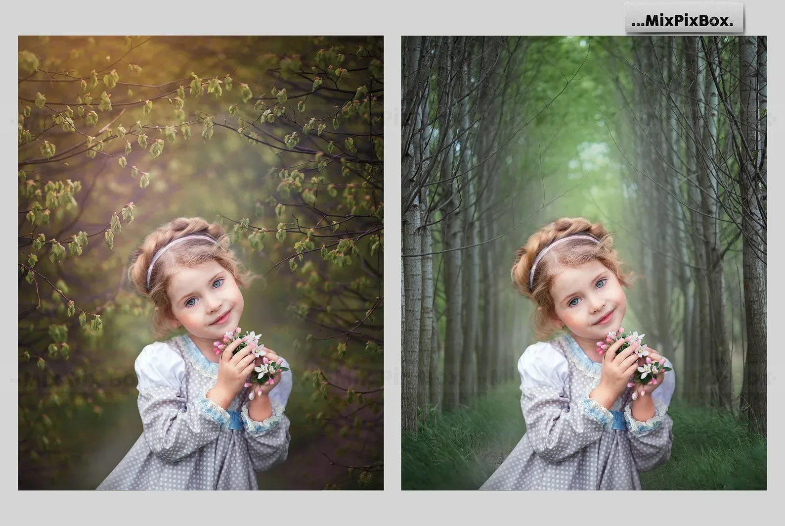 Spring Portrait Backgrounds