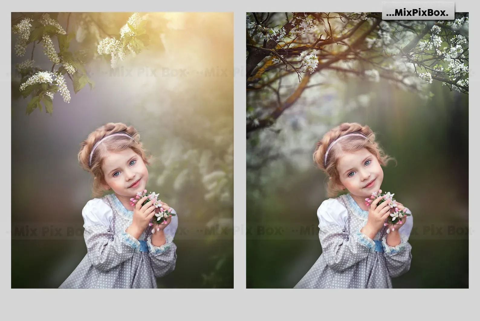 Spring Portrait Backgrounds