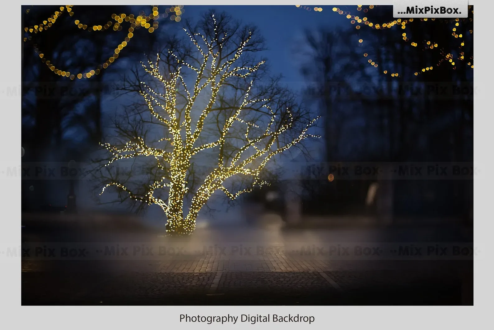 Christmas Lights Backdrops