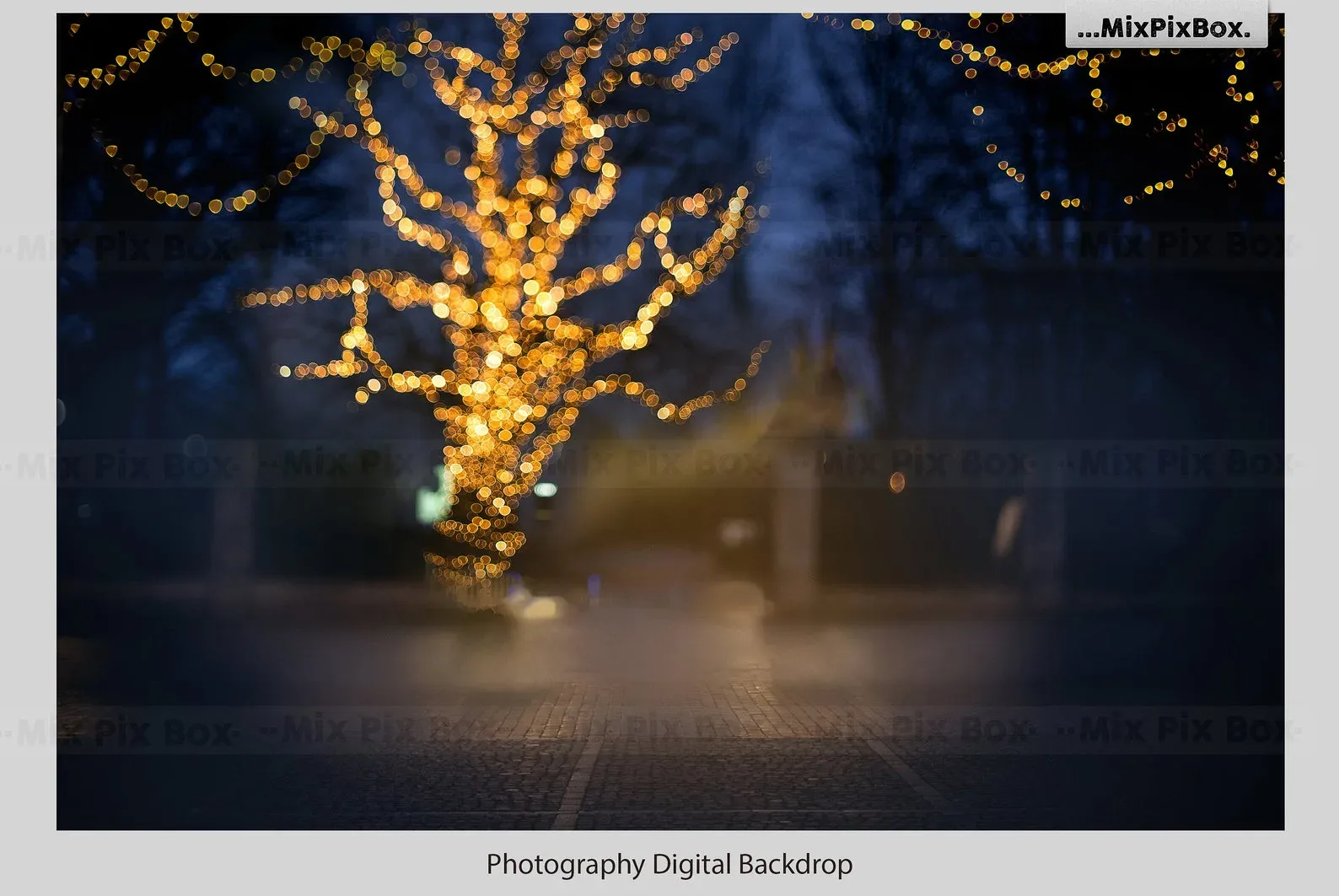 Christmas Lights Backdrops