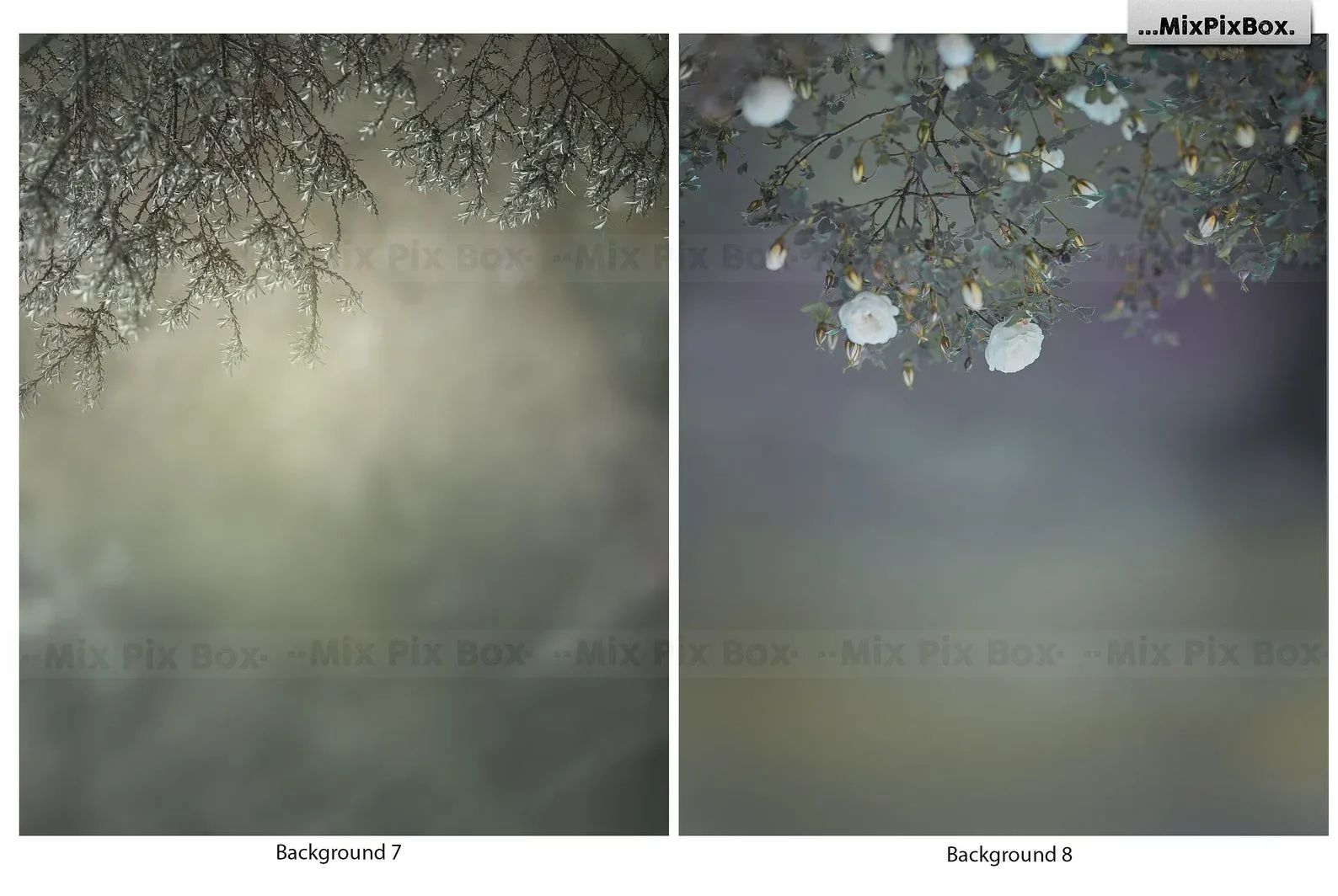 Mysterious Portrait Backgrounds