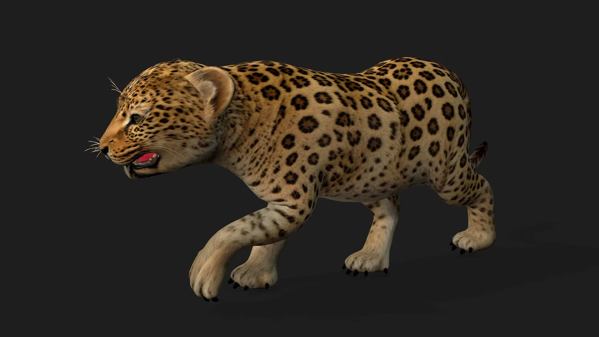 Leopard_BaBy_A1