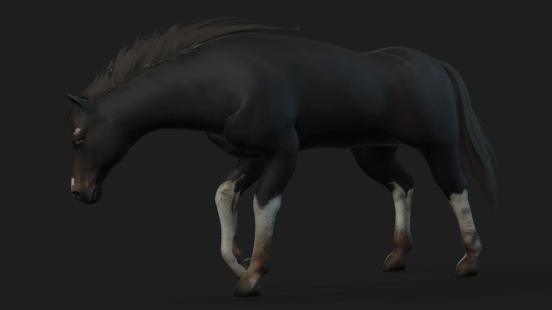 Horse_A1