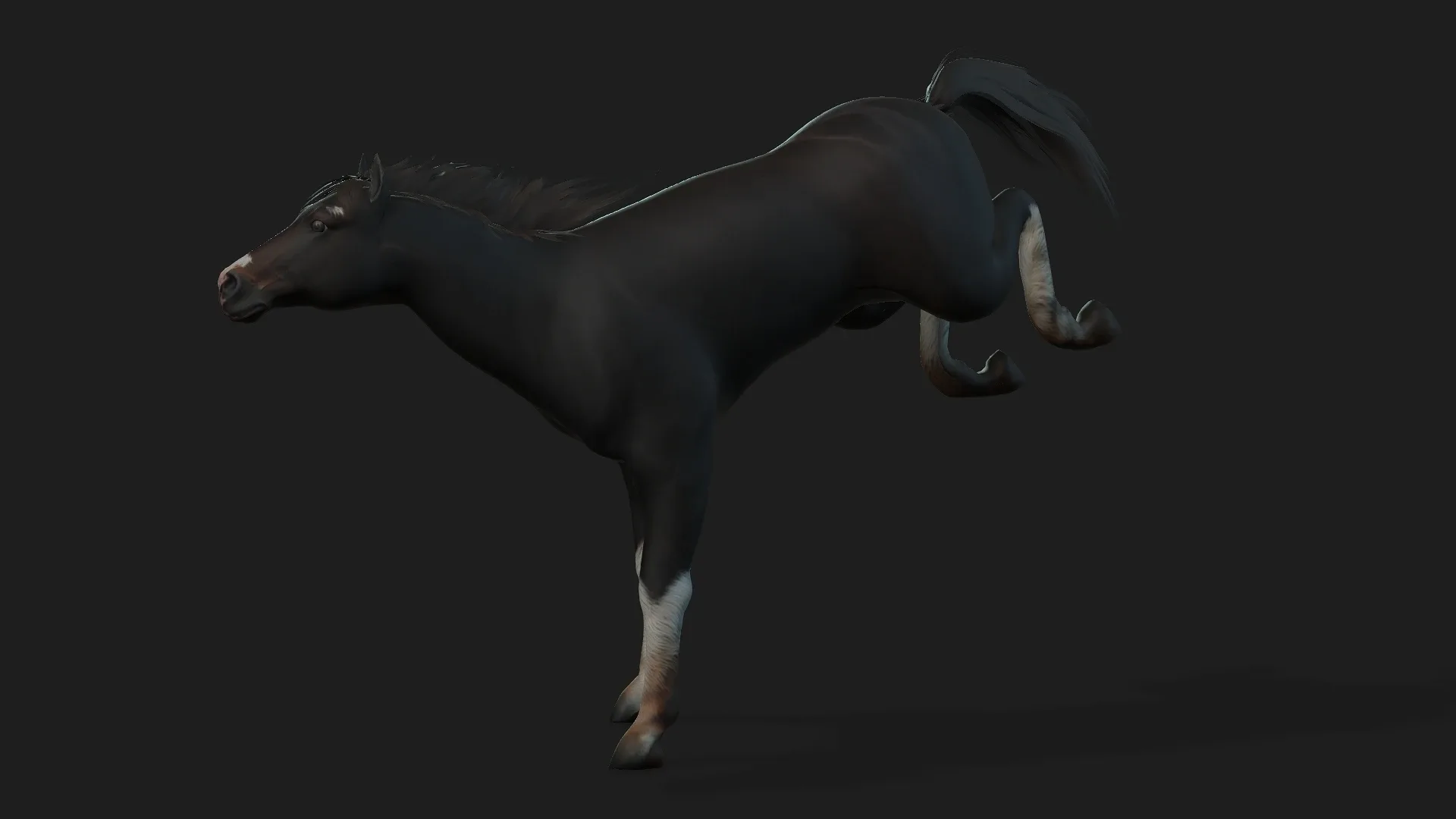 Horse_A1