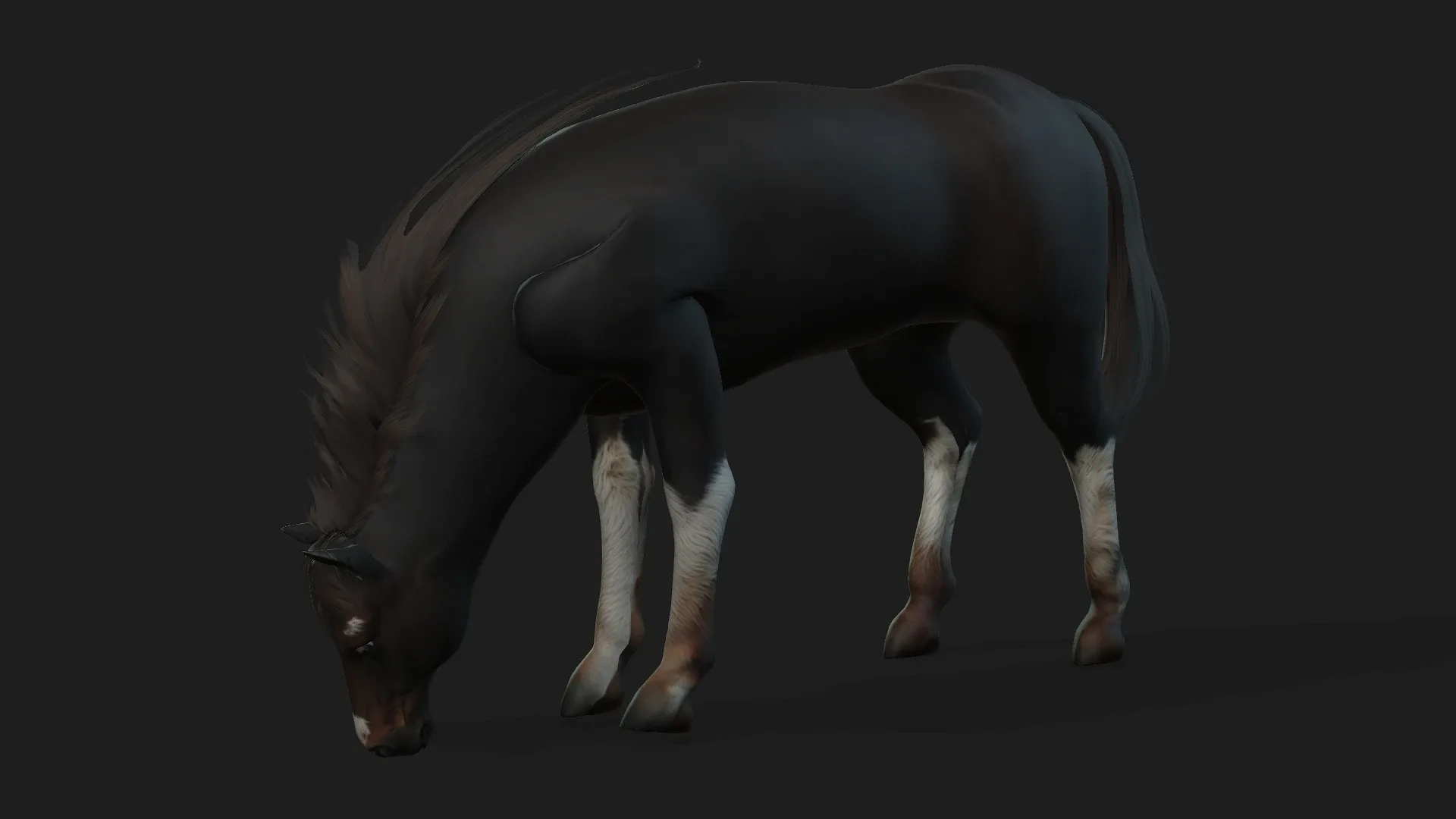 Horse_A1