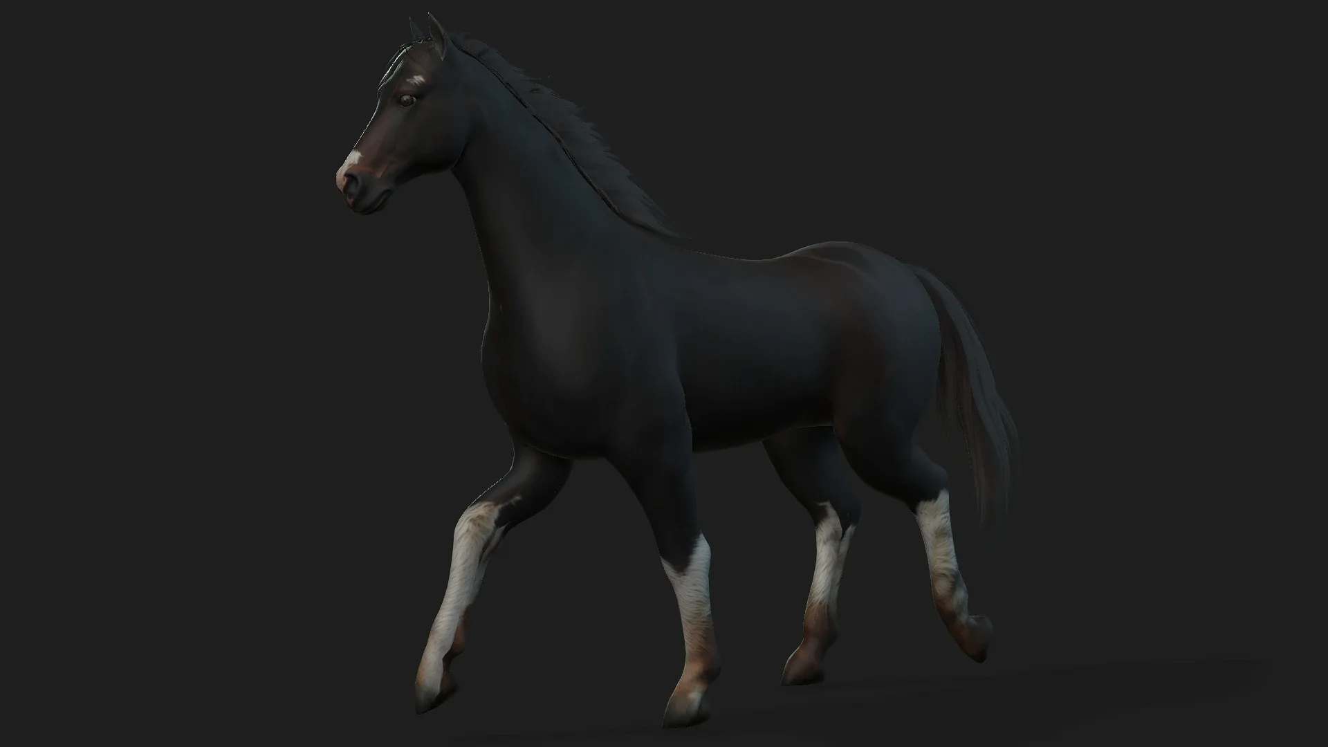 Horse_A1