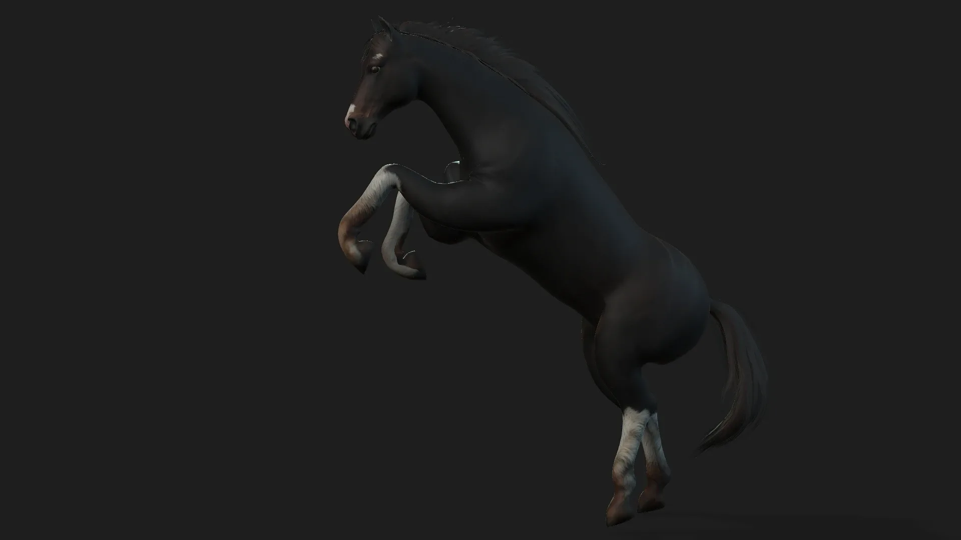 Horse_A1