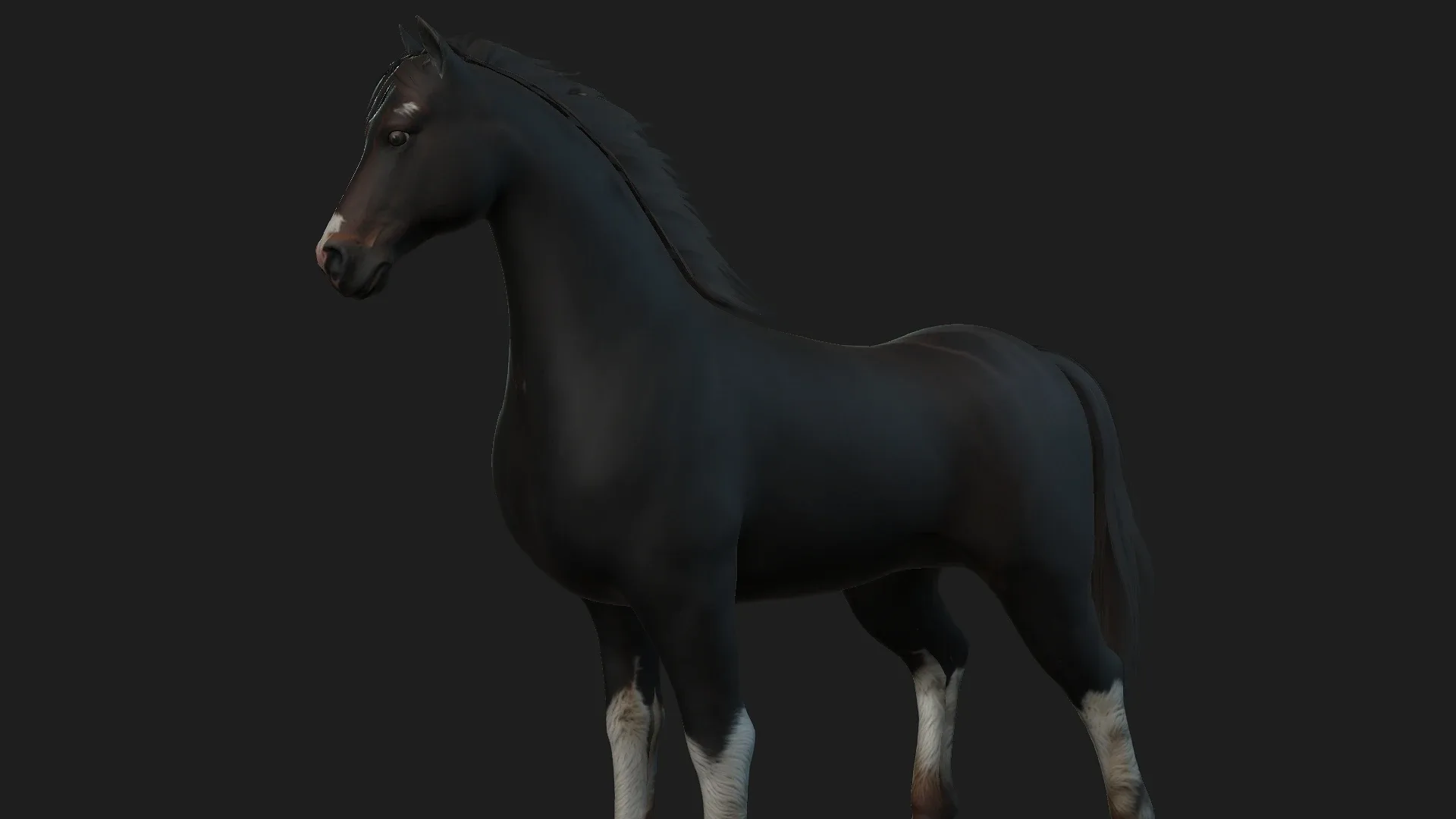 Horse_A1