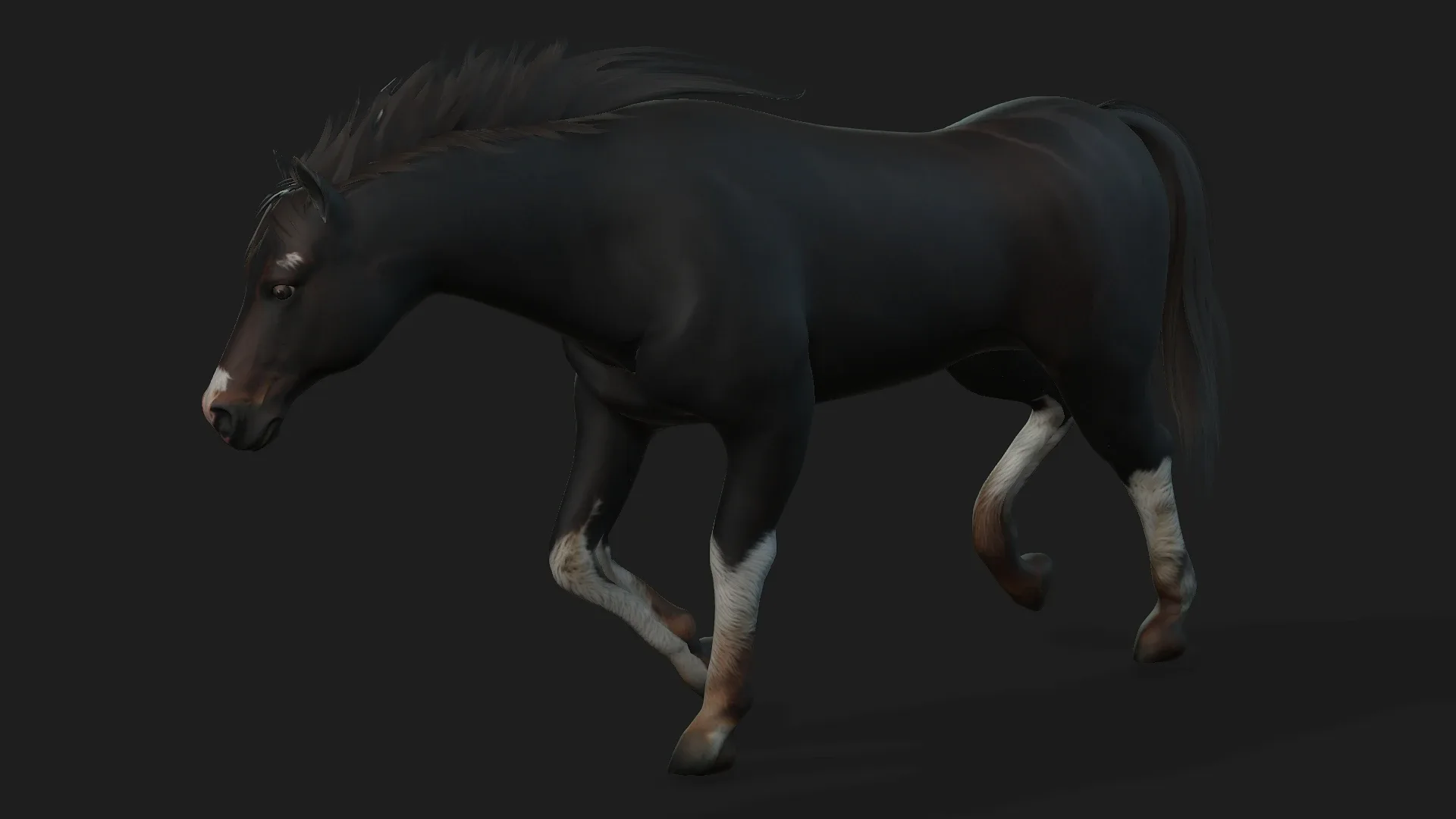 Horse_A1