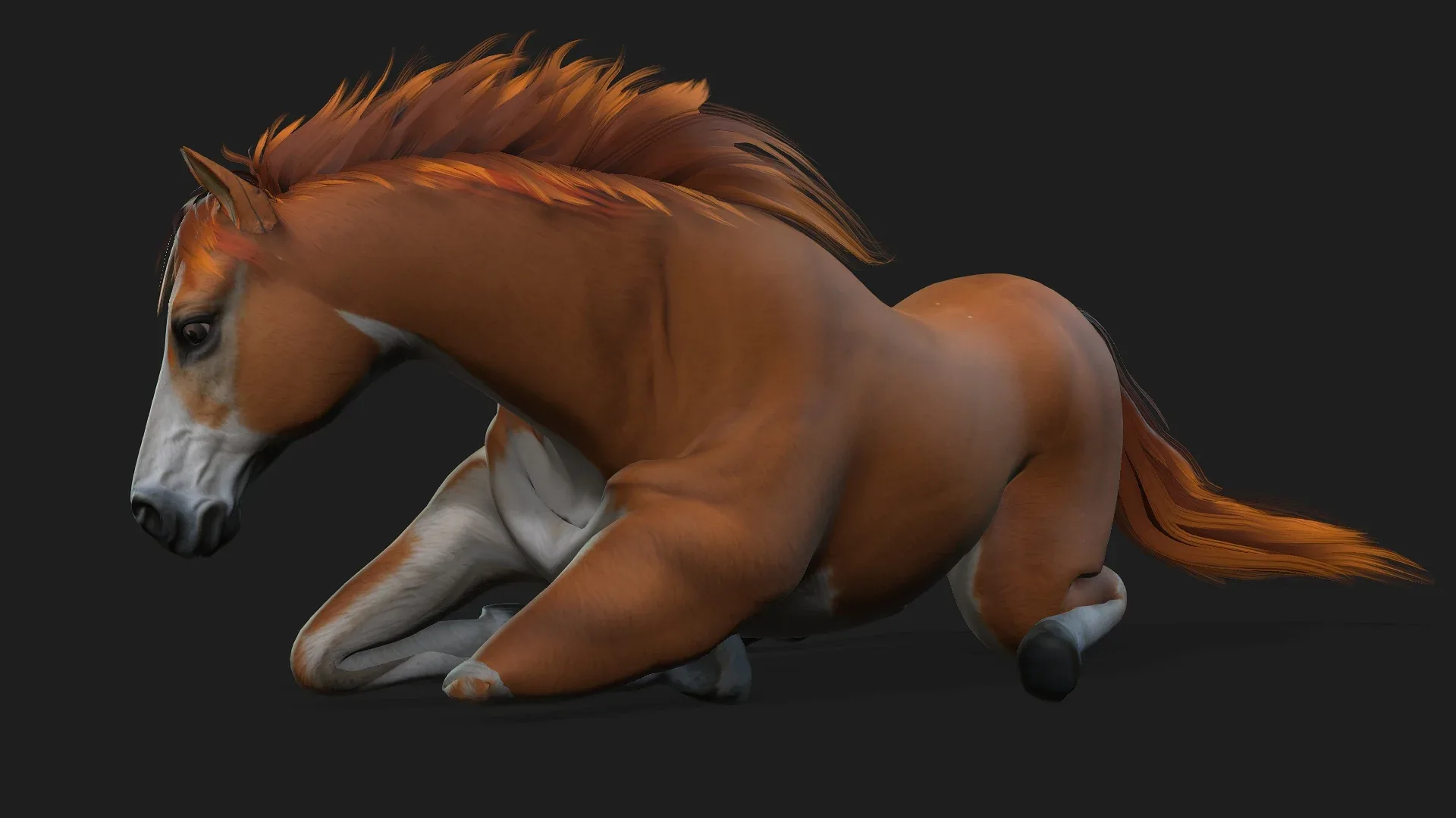 Horse_A2