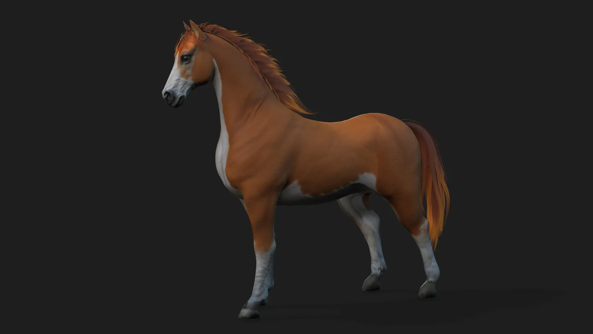 Horse_A2