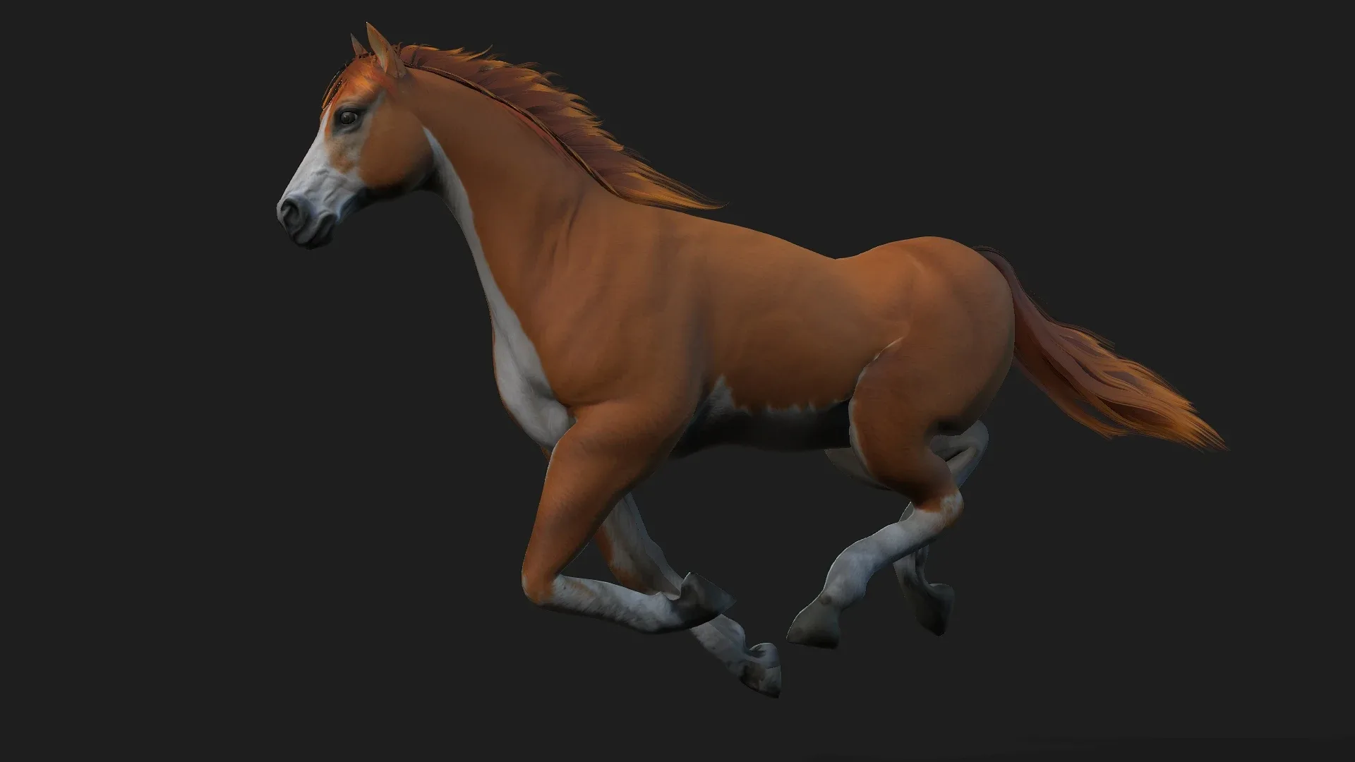 Horse_A2