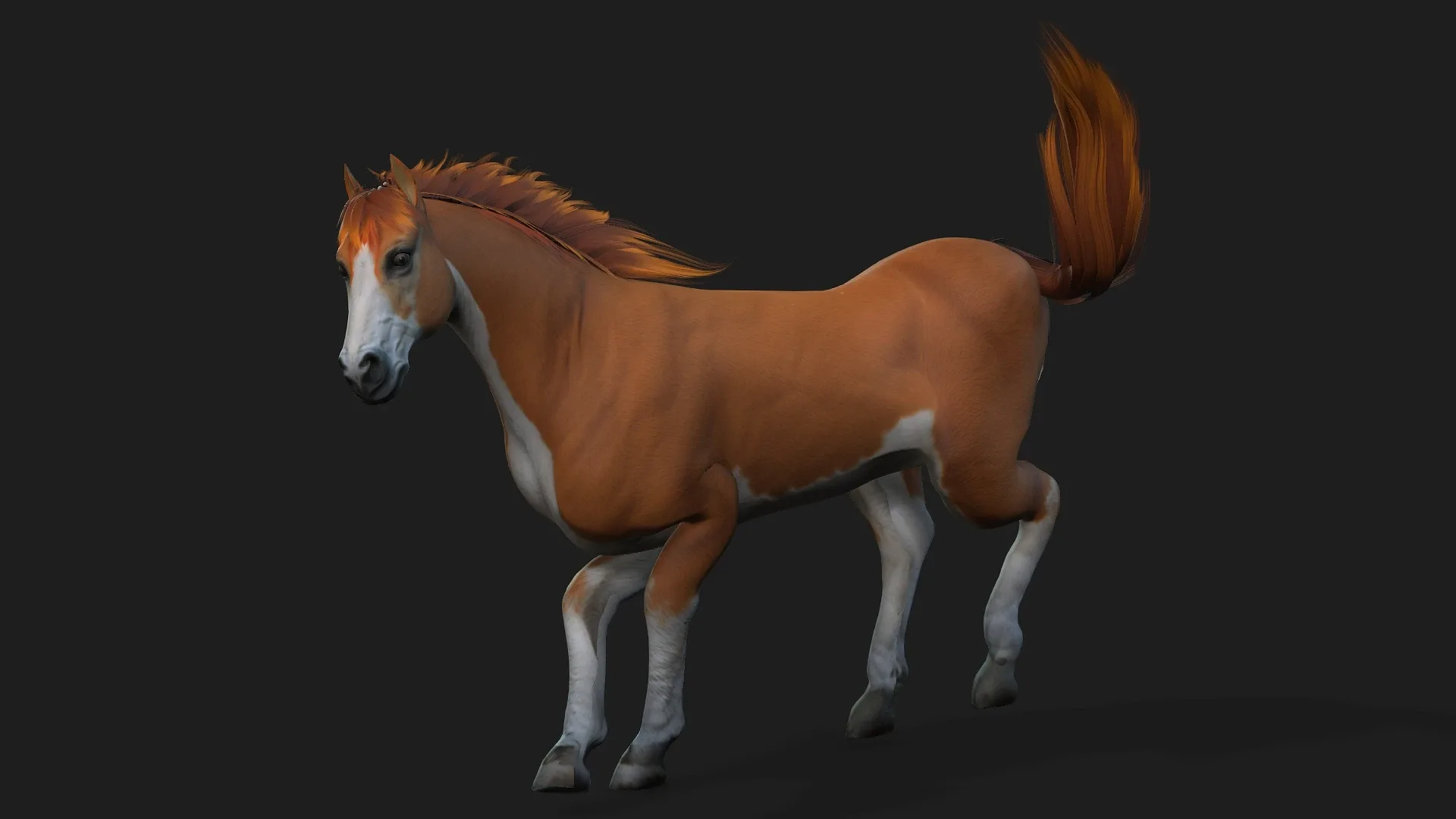 Horse_A2