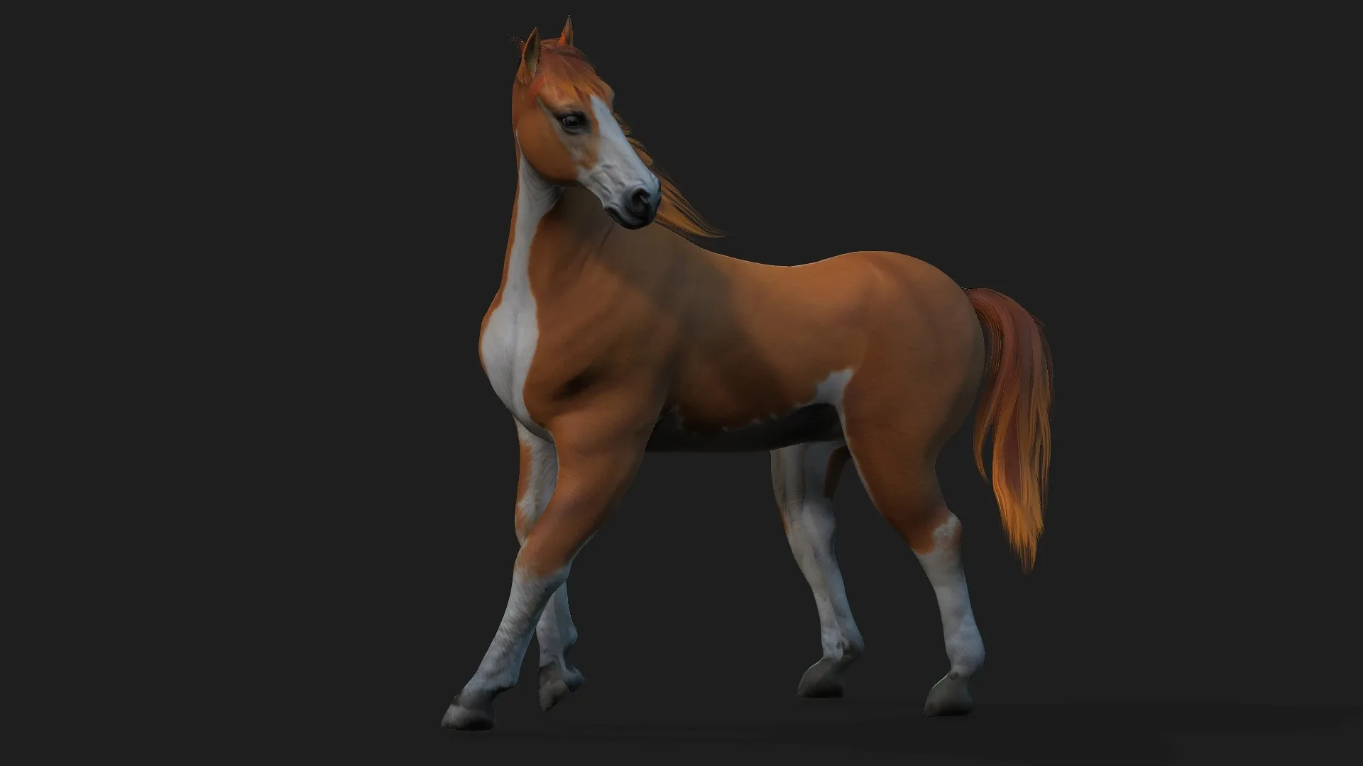 Horse_A2