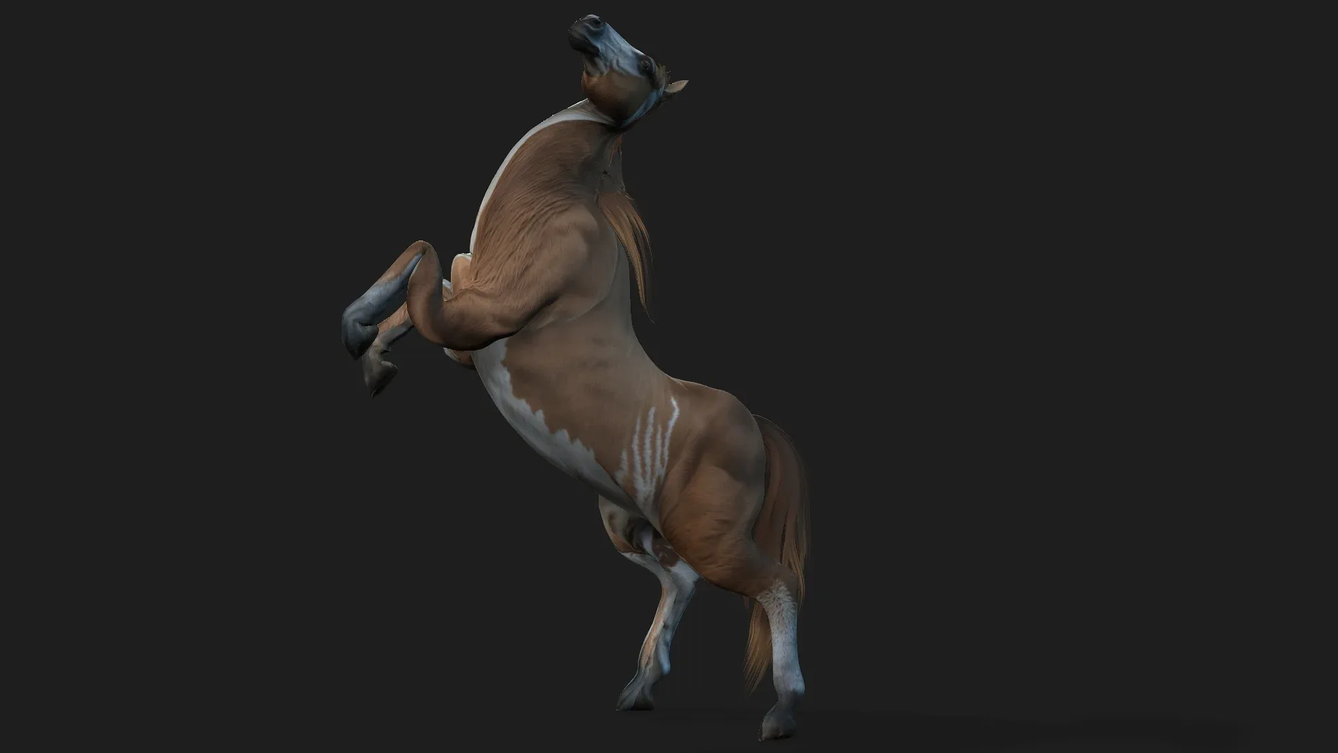 Horse_A3