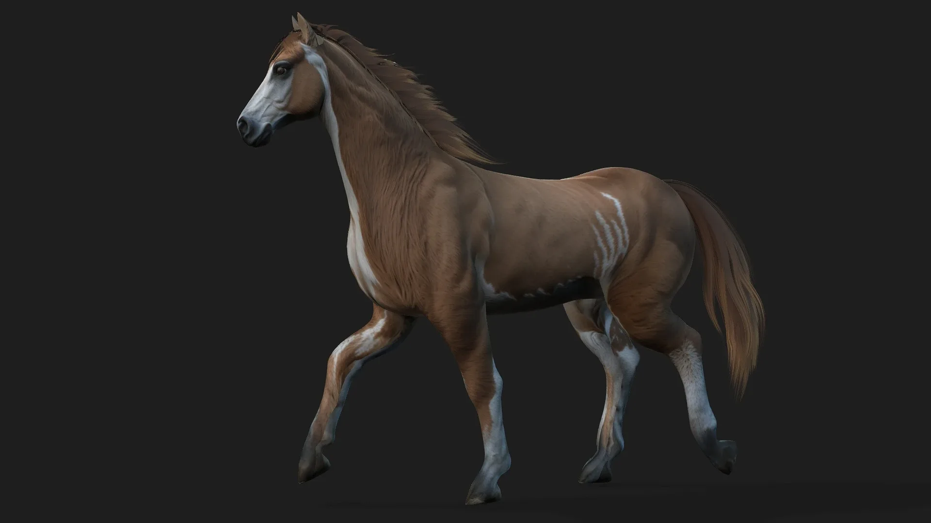 Horse_A3