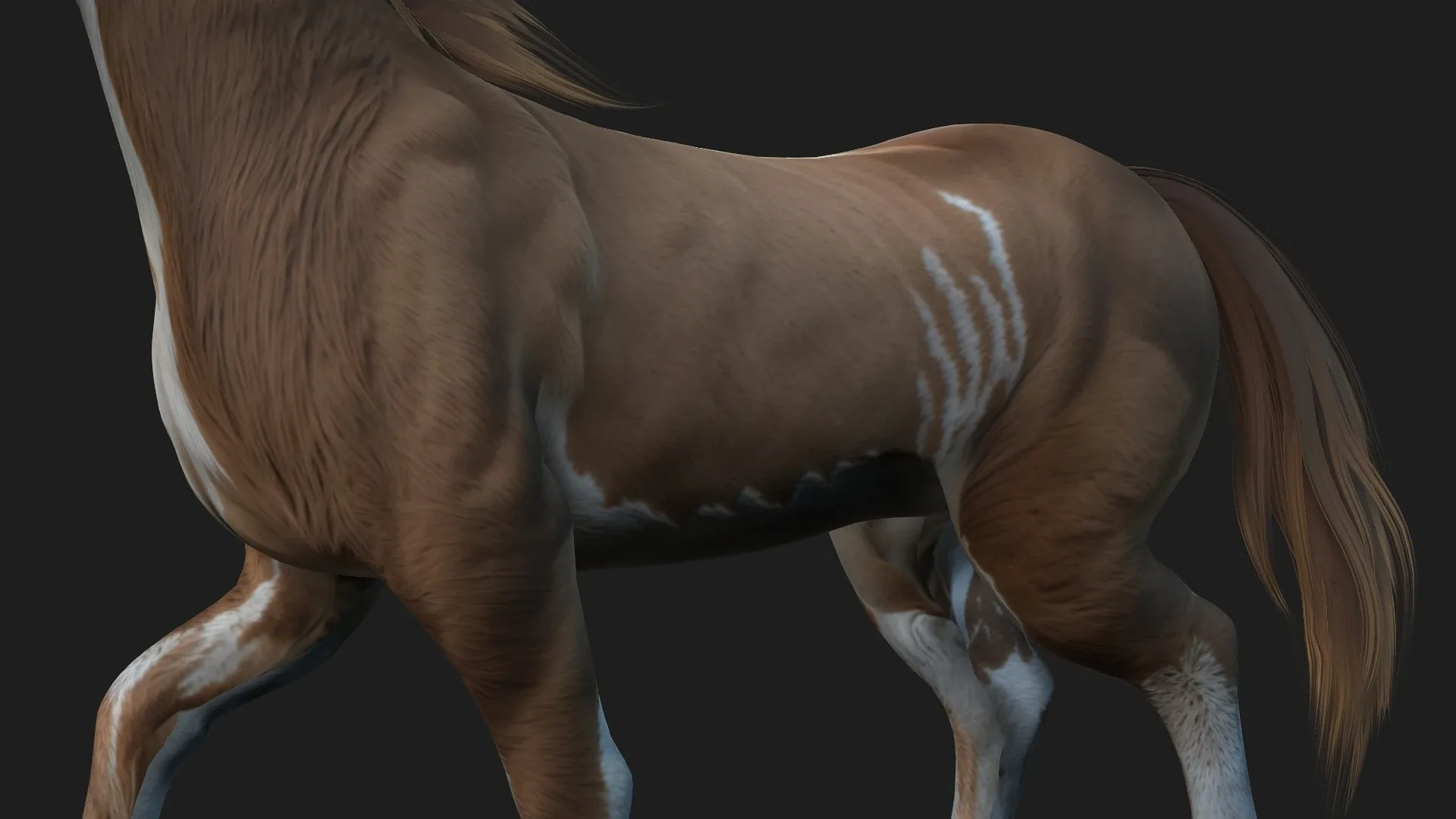 Horse_A3